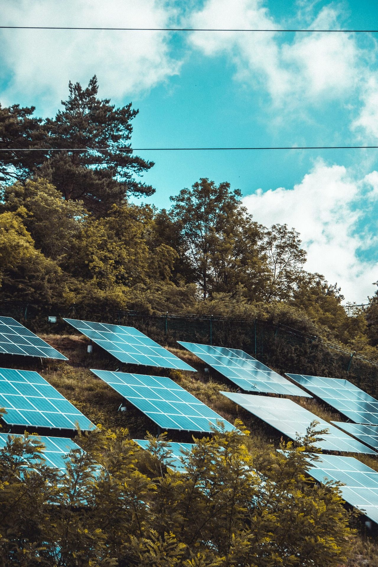 Solar panels on a hillside surrounded by trees.