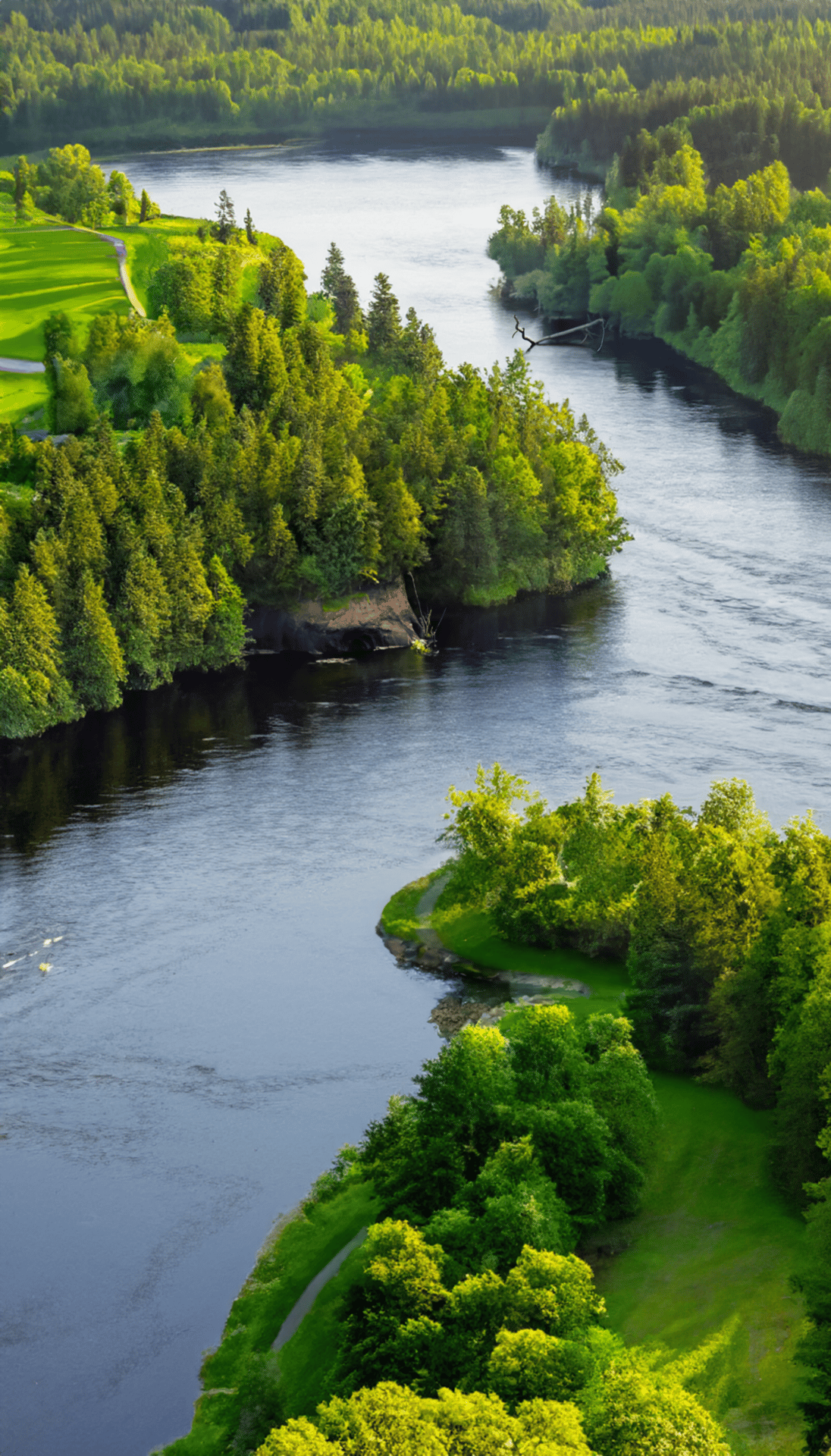 Fluvial landforms of streams, Water resources, Natural landscape, Plant, Green, Nature, Lake, Vegetation, Tree