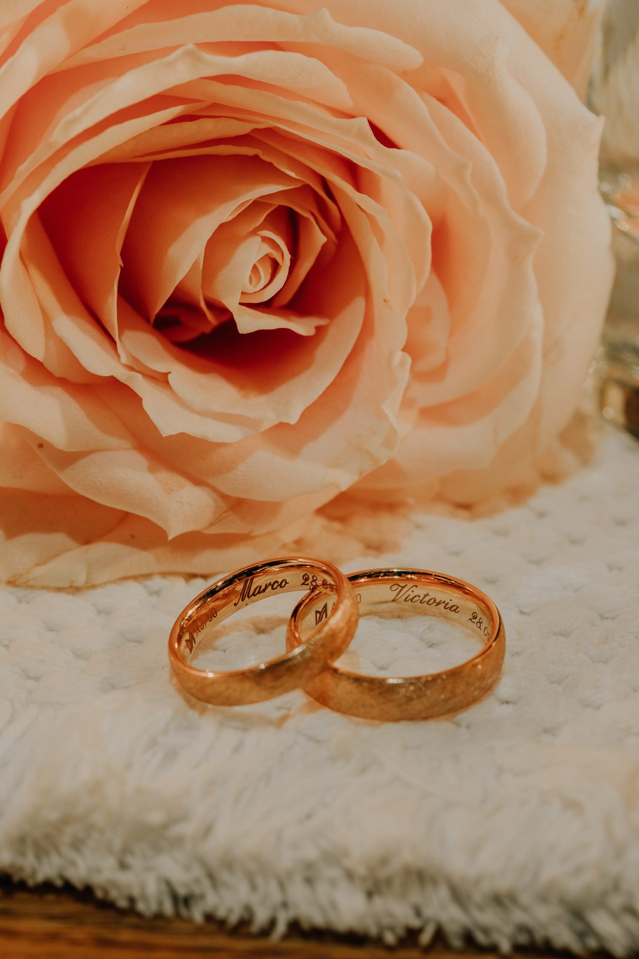 Hybrid tea rose, Wedding ceremony supply, Body jewelry, Flower, White, Plant, Petal, Orange, Red