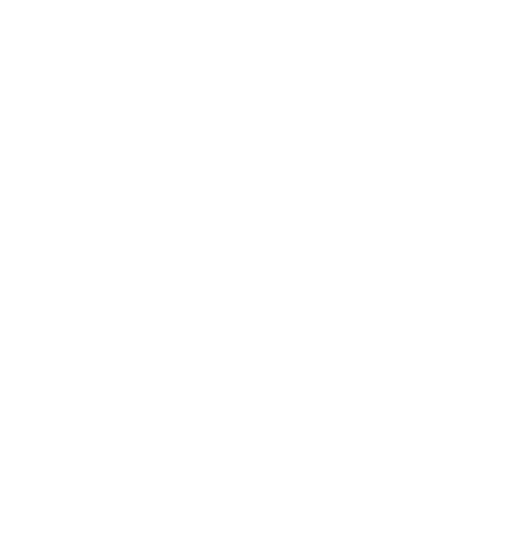 Dark green "Bild" wordmark on a white background.