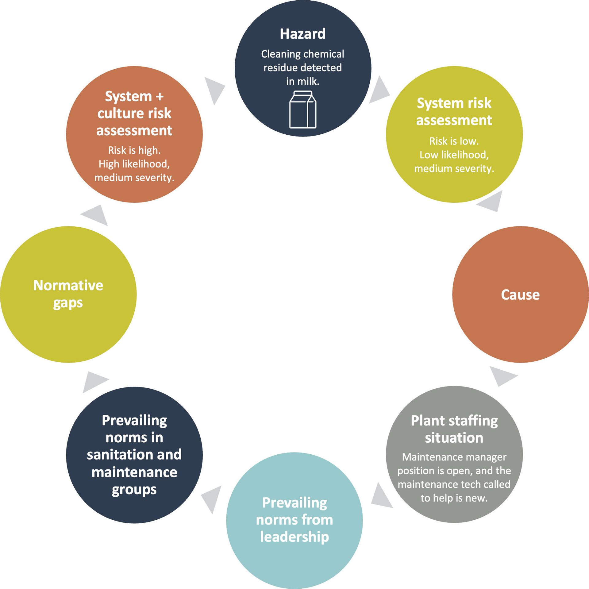 Circular diagram of risk assessment for chemical in milk: low system risk, high system+culture risk.