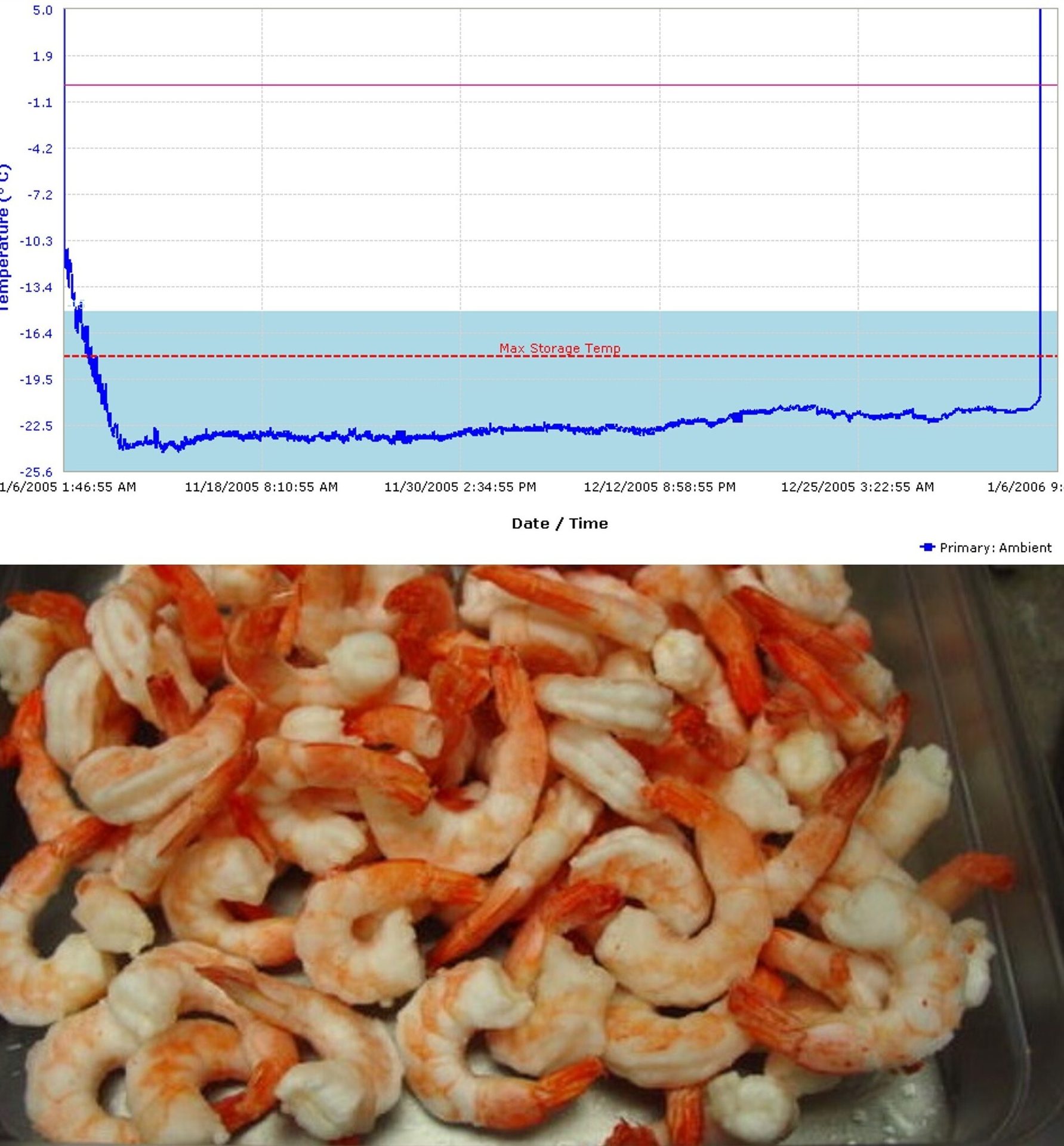 Temperature graph for shrimp storage showing max safe temp, and a photo of cooked shrimp.