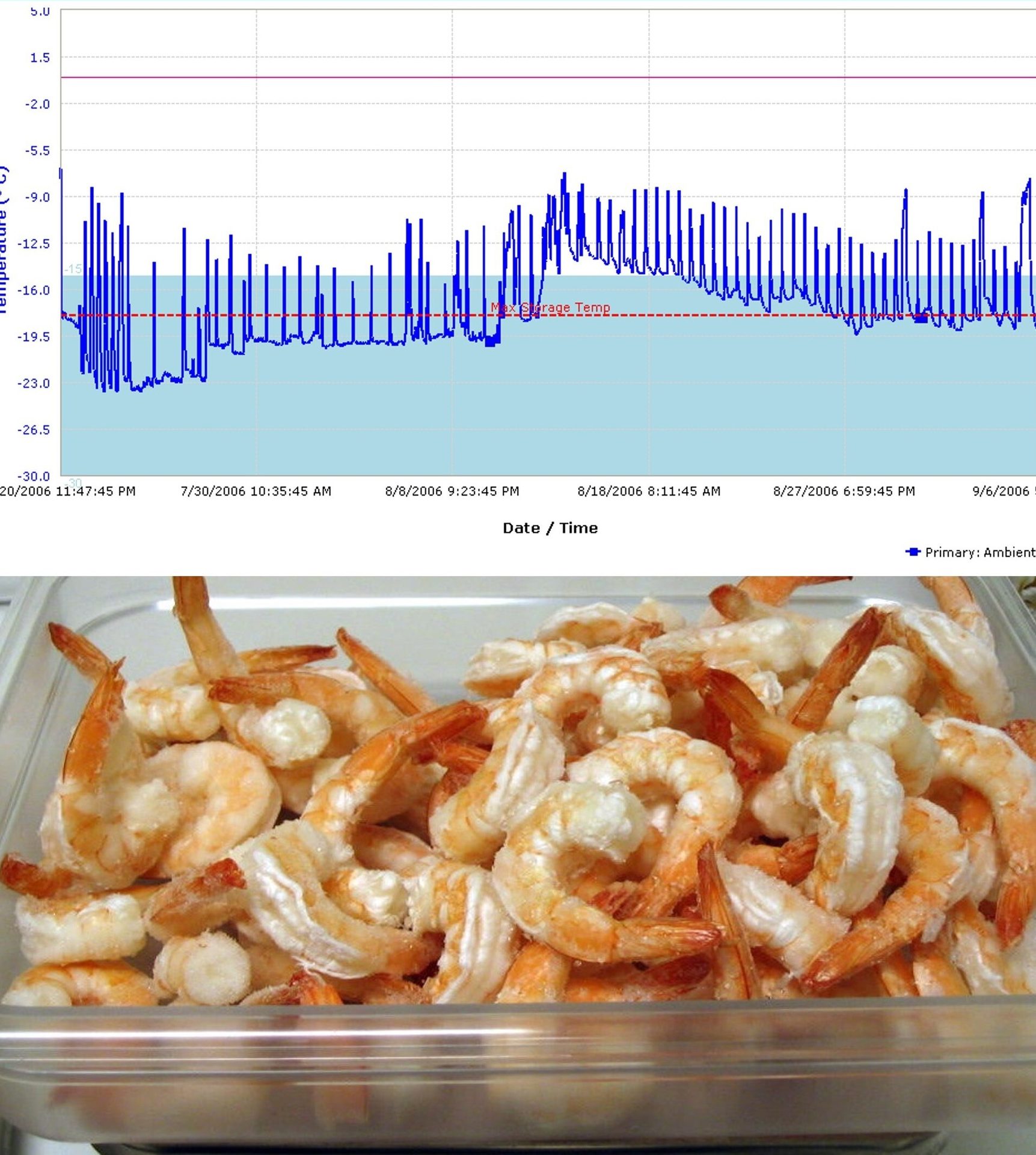 Graph of temperature fluctuations and a 'Max Storage Temp' line, above a container of frozen shrimp.