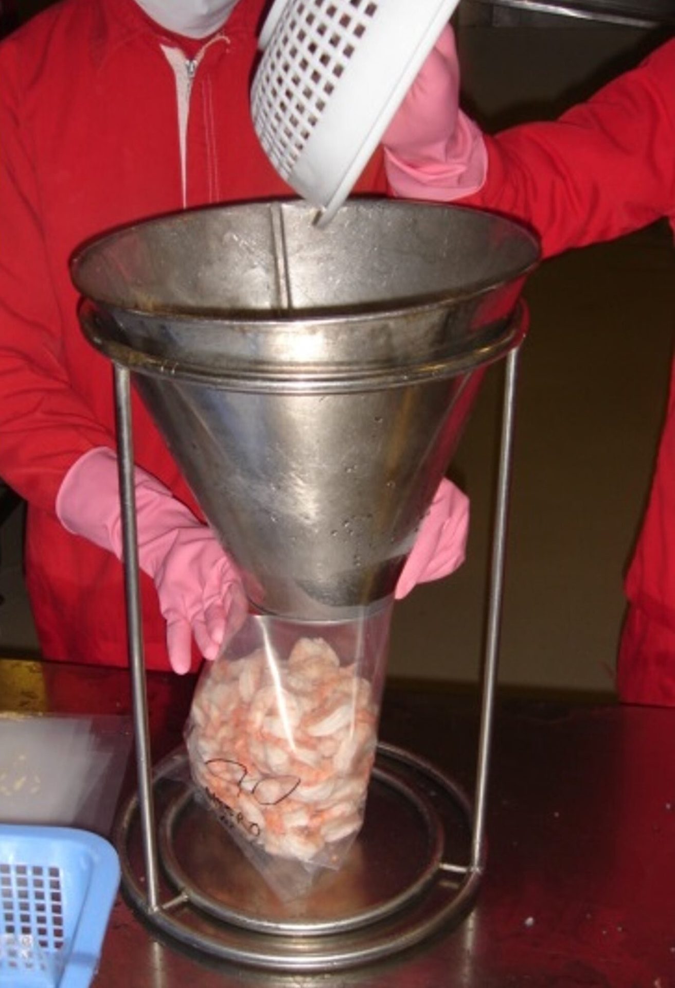 Person in red jacket and pink gloves pours shrimp into a metal funnel, filling a plastic bag.
