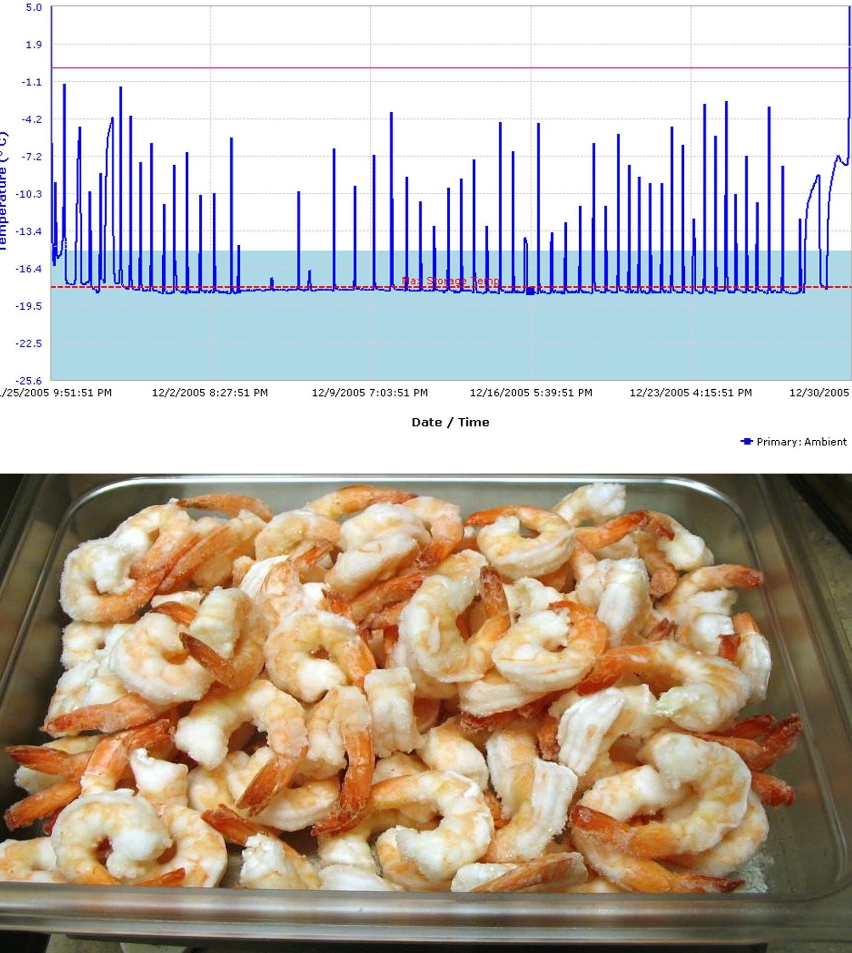 Temperature log with severe fluctuations, next to a tray of frozen shrimp.