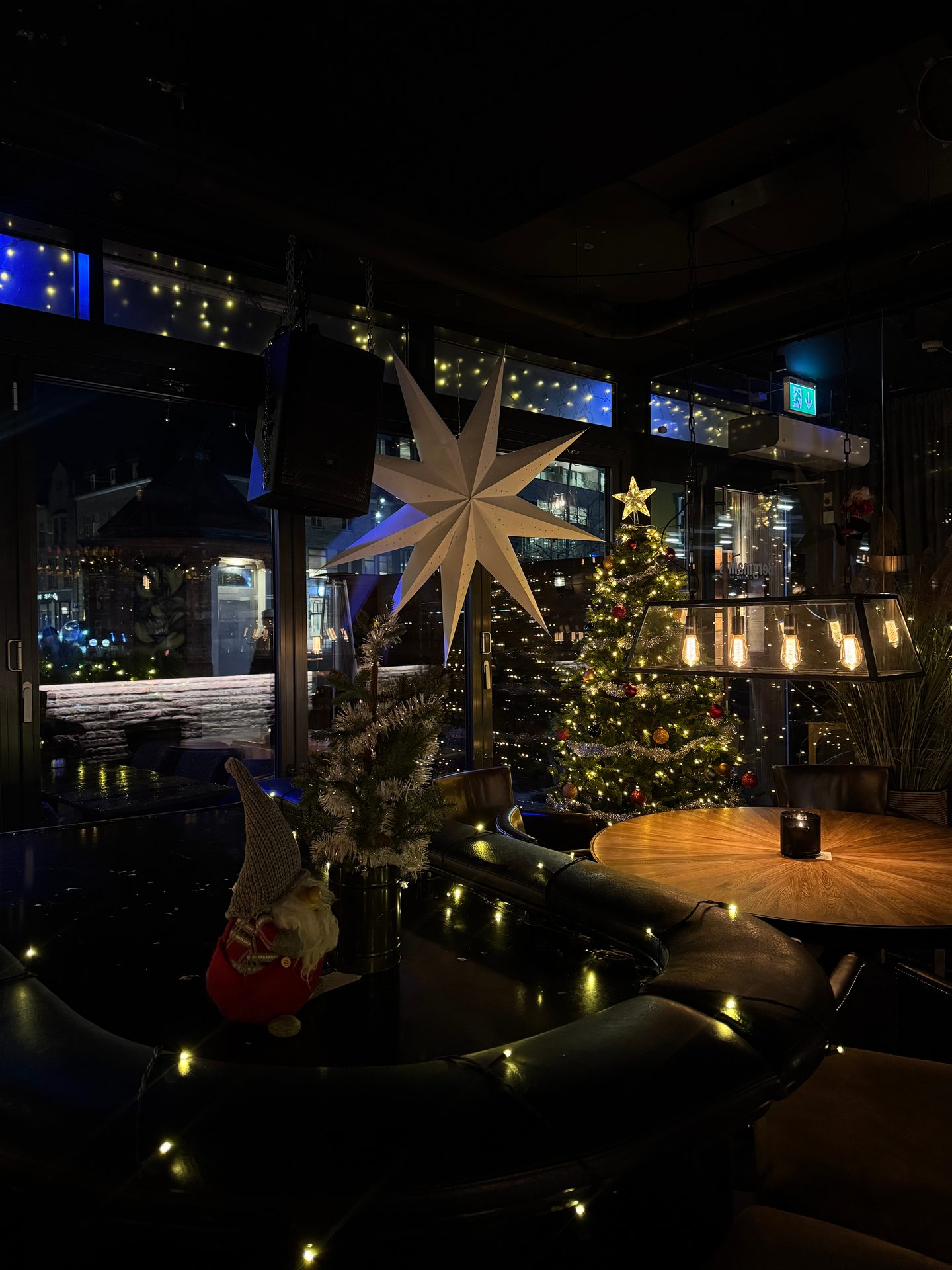 Christmas tree, Plant, Electricity, Building