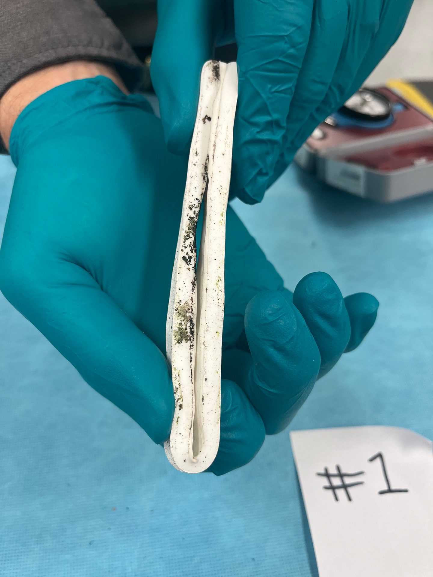 Gloved hands hold a dirty white strip with black and green growth, labeled "#1".