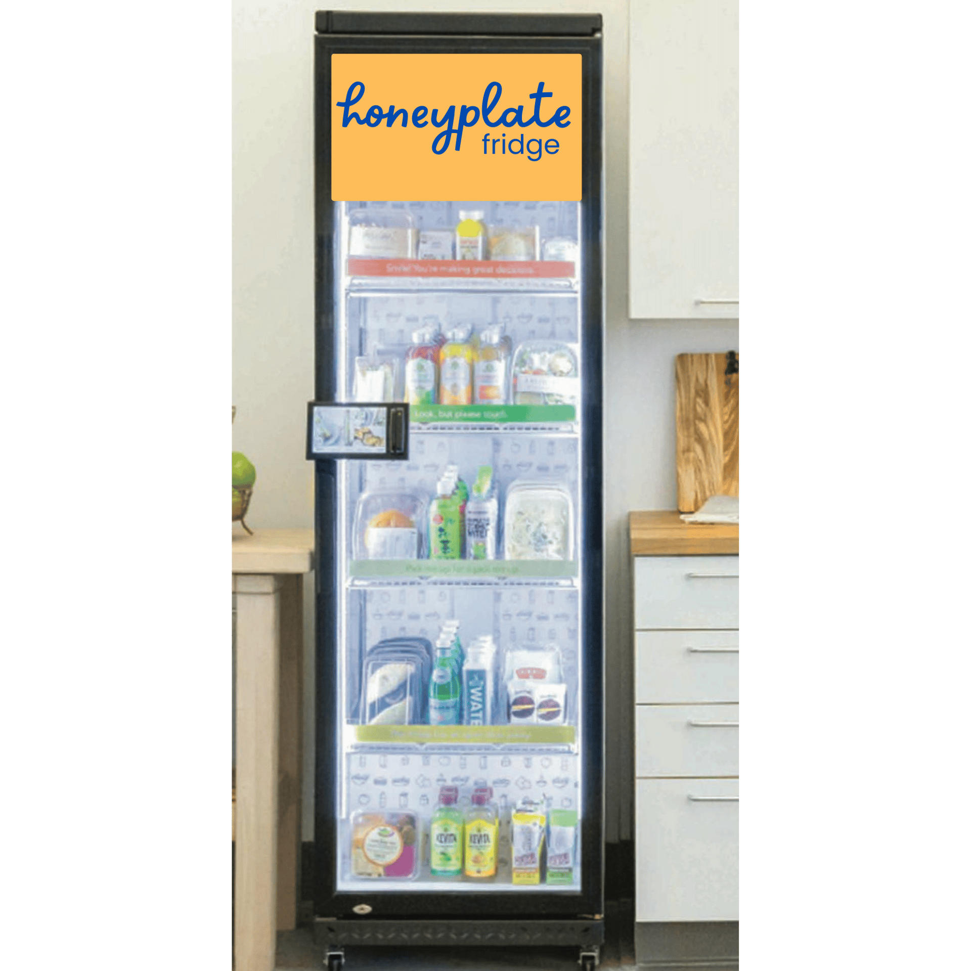 Major appliance, Refrigerator, Shelf, Bottle, Shelving