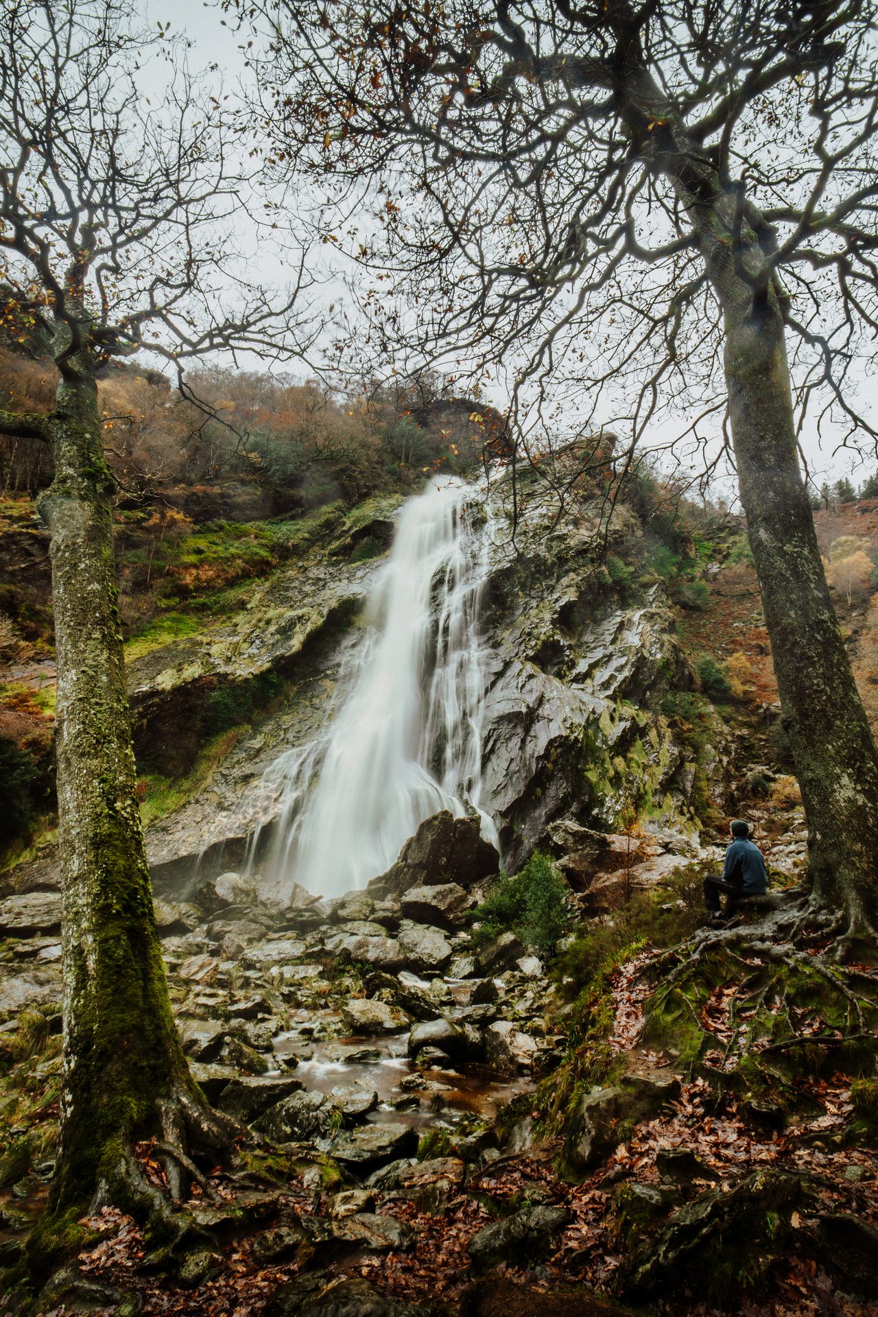 Natural landscape, Water, Plant, Sky, Wood, Waterfall, Sunlight, Tree, Trunk, Twig