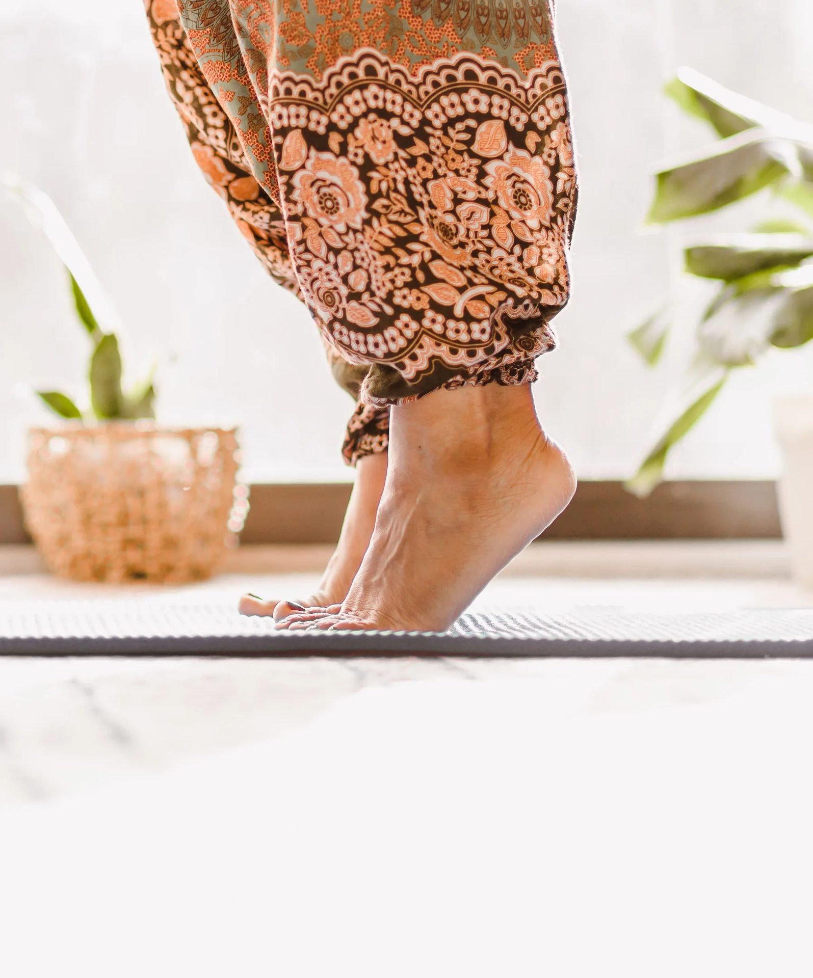 Plant, Shoe, Flowerpot, Wood, Waist