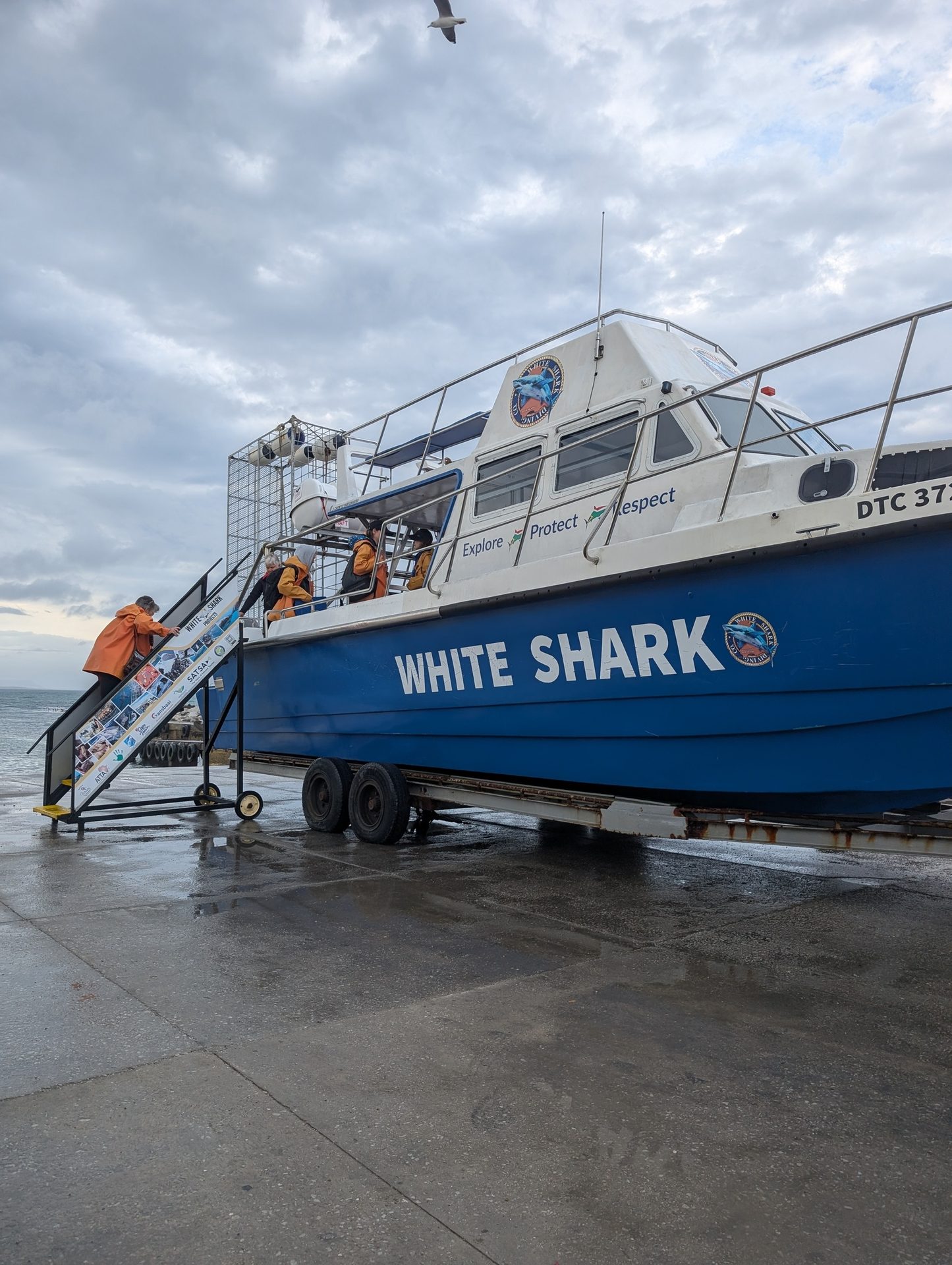 People board a blue and white 'WHITE SHARK' boat on a trailer under a cloudy sky with a seagull.