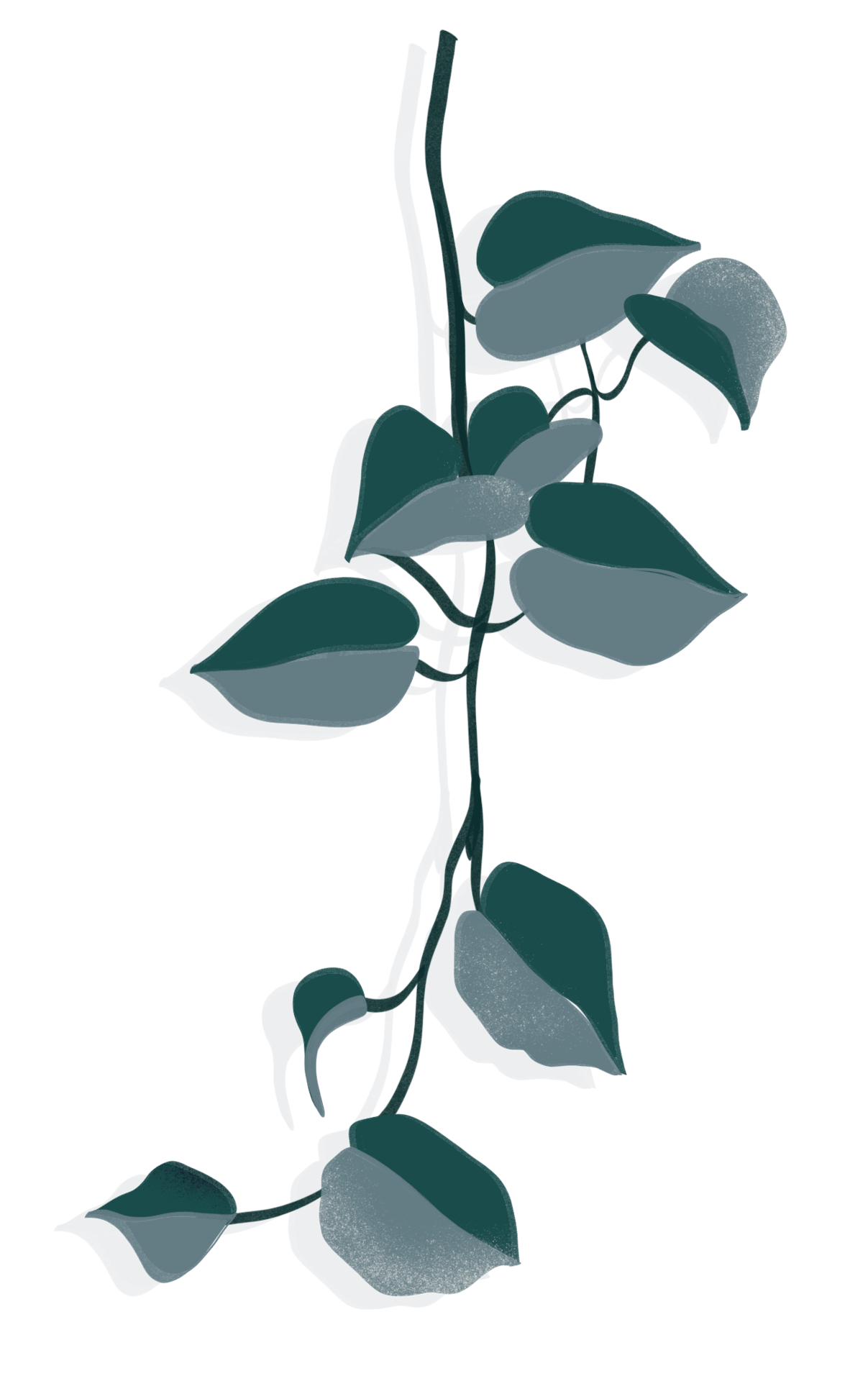 Branch, Twig