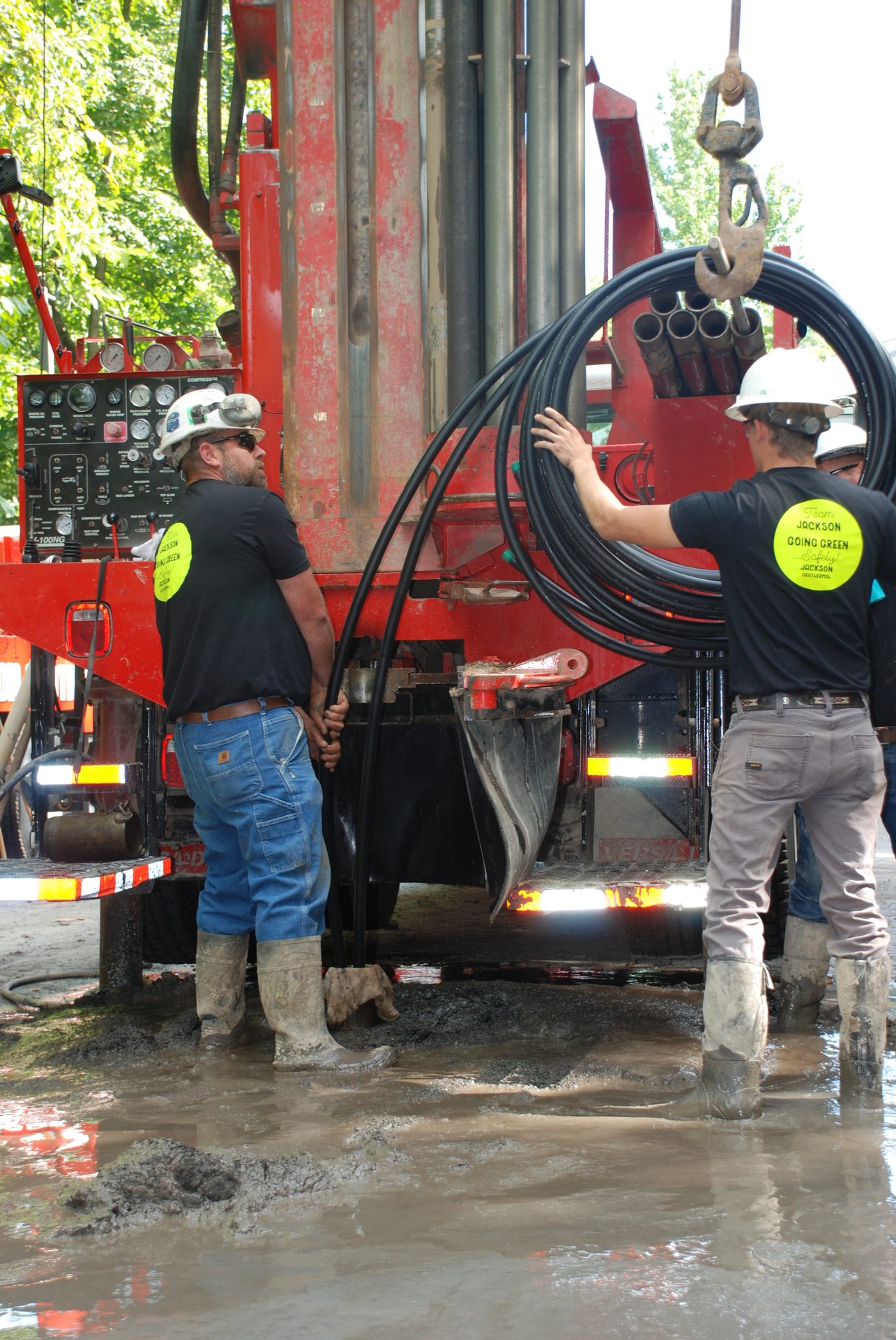 Mode of transport, Motor vehicle, Automotive tire, High-visibility clothing, Road surface, Workwear, Asphalt, Tree, Plant