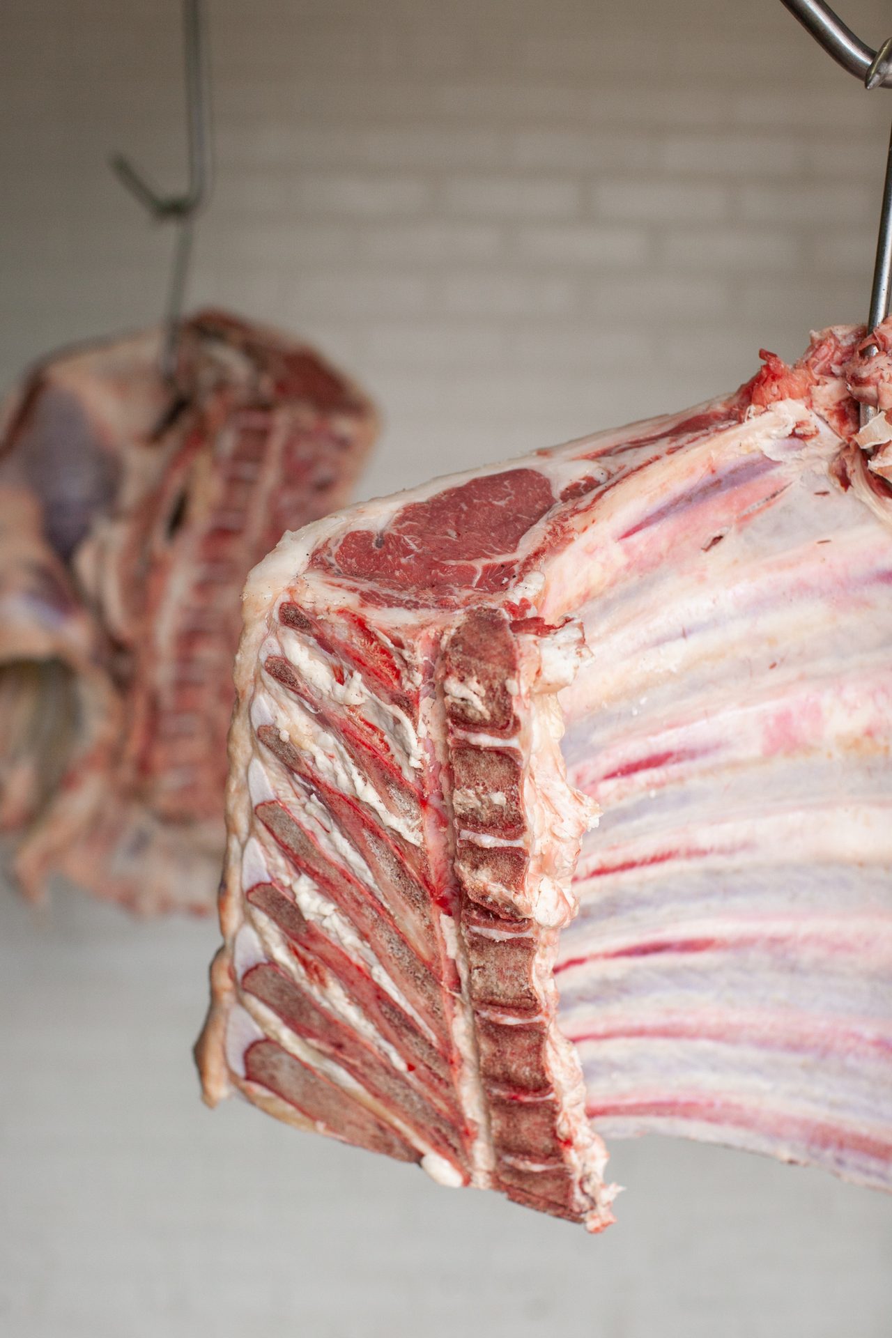 Lamb and mutton, Red meat, Food, Rib, Beef, Pork, Ingredient, Bone