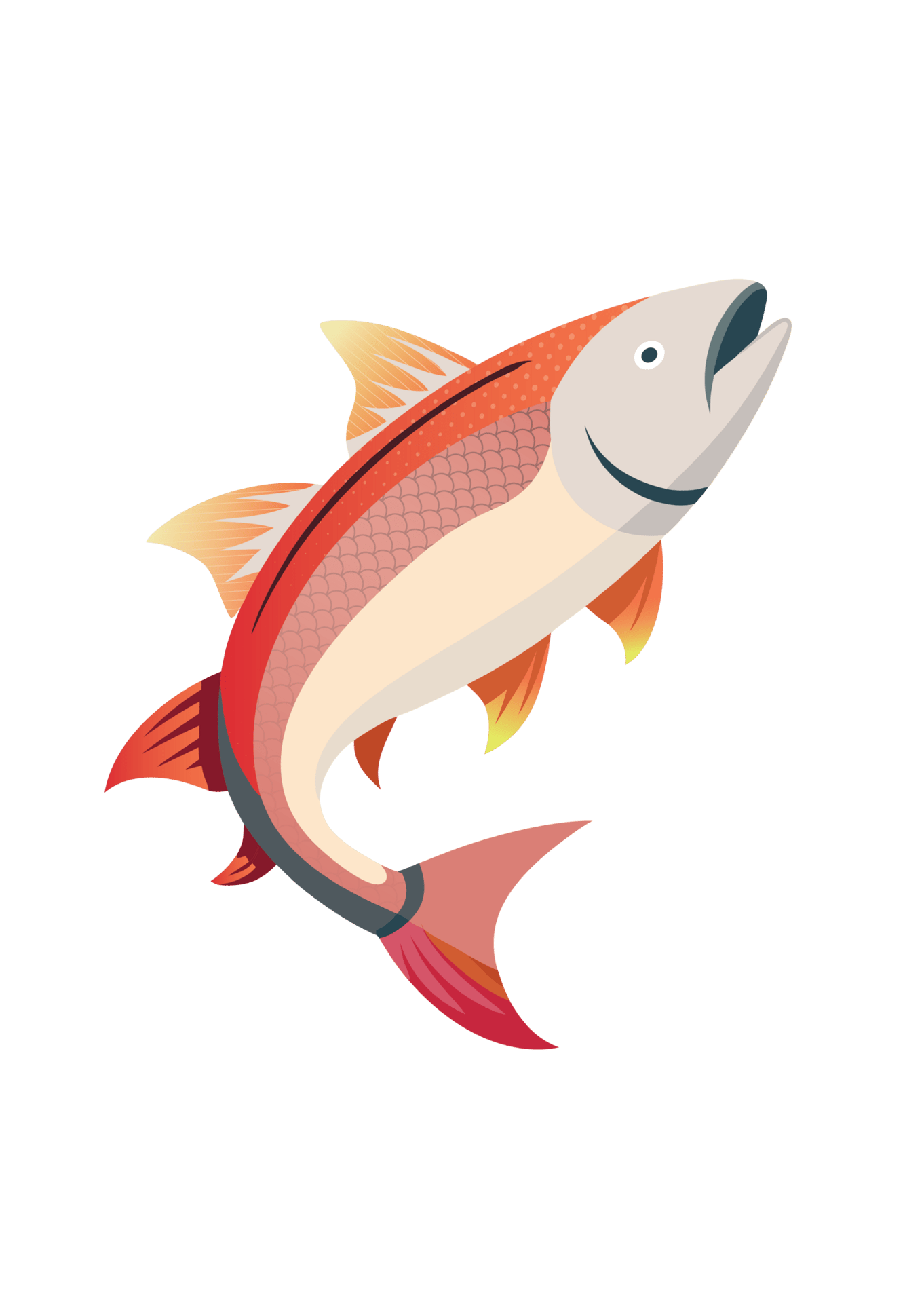 An illustration of a red and cream-colored fish with orange fins, swimming or jumping upwards.