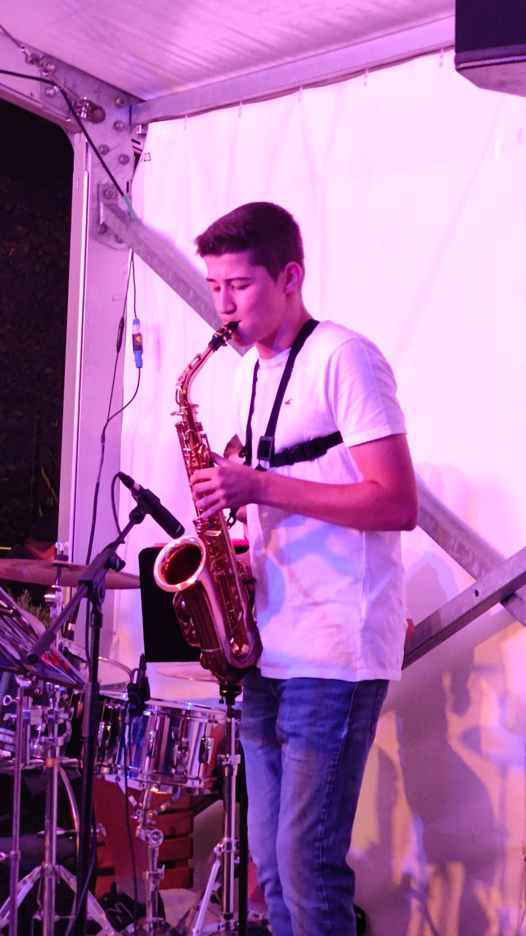 Musical instrument accessory, Music artist, Saxophone, Reed, Saxophonist, Purple, Musician