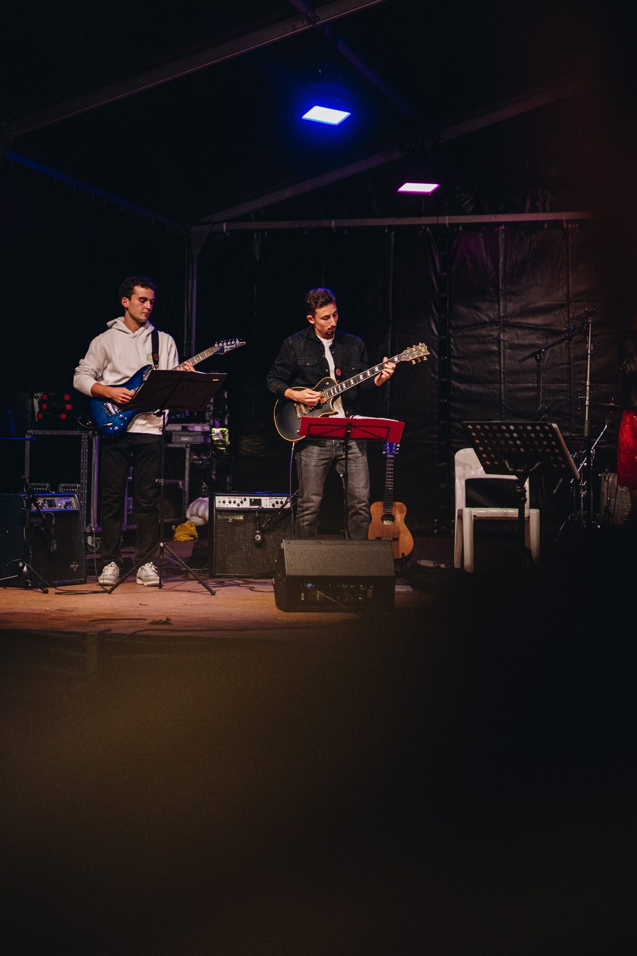 Plucked string instrument, Audio equipment, Performing Arts, Chordophone, Guitar, Entertainment, Performance, Guitarist