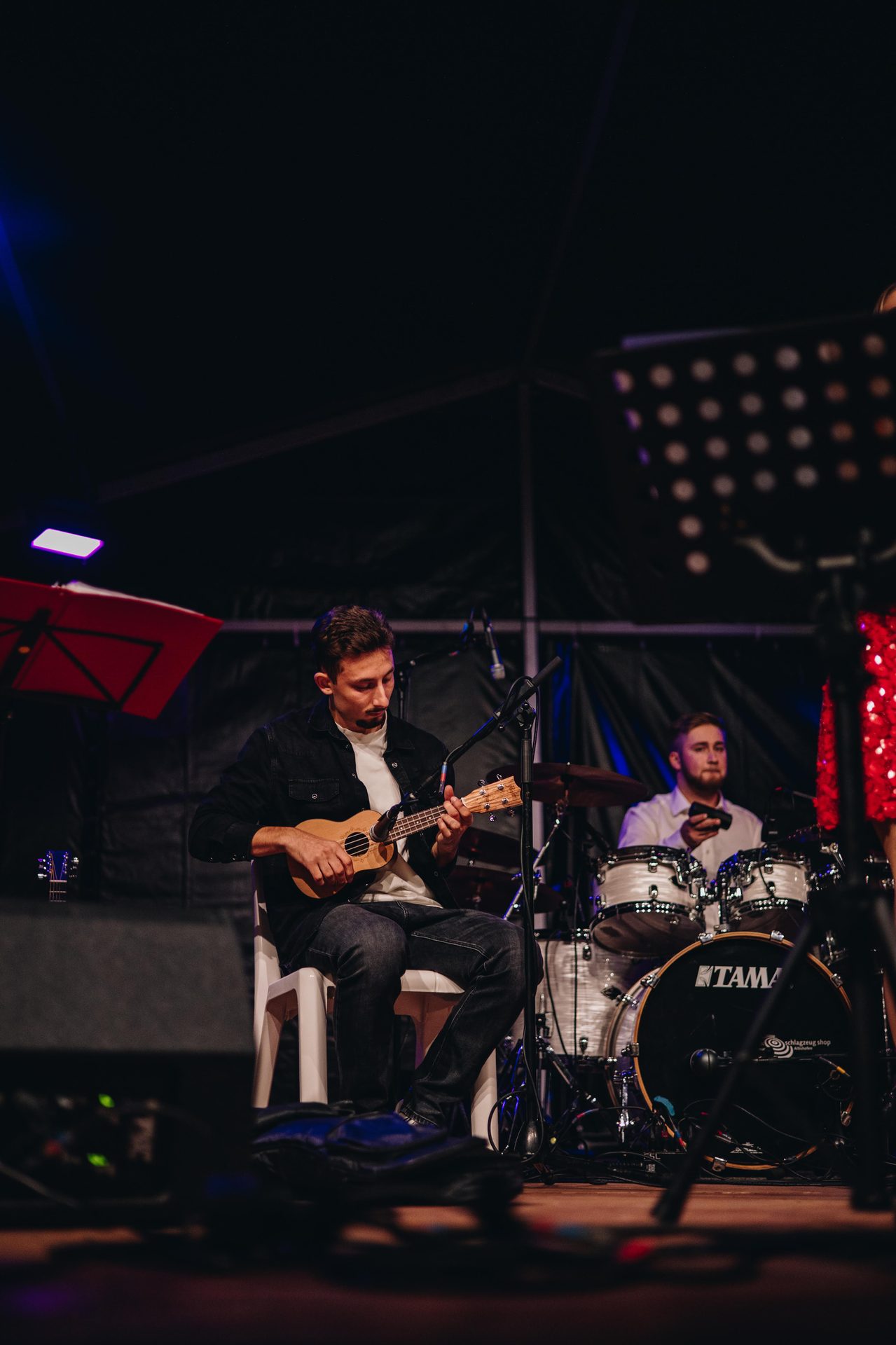 Plucked string instrument, Performing Arts, Chordophone, Guitar, Guitarist, Entertainment, Performance, Music