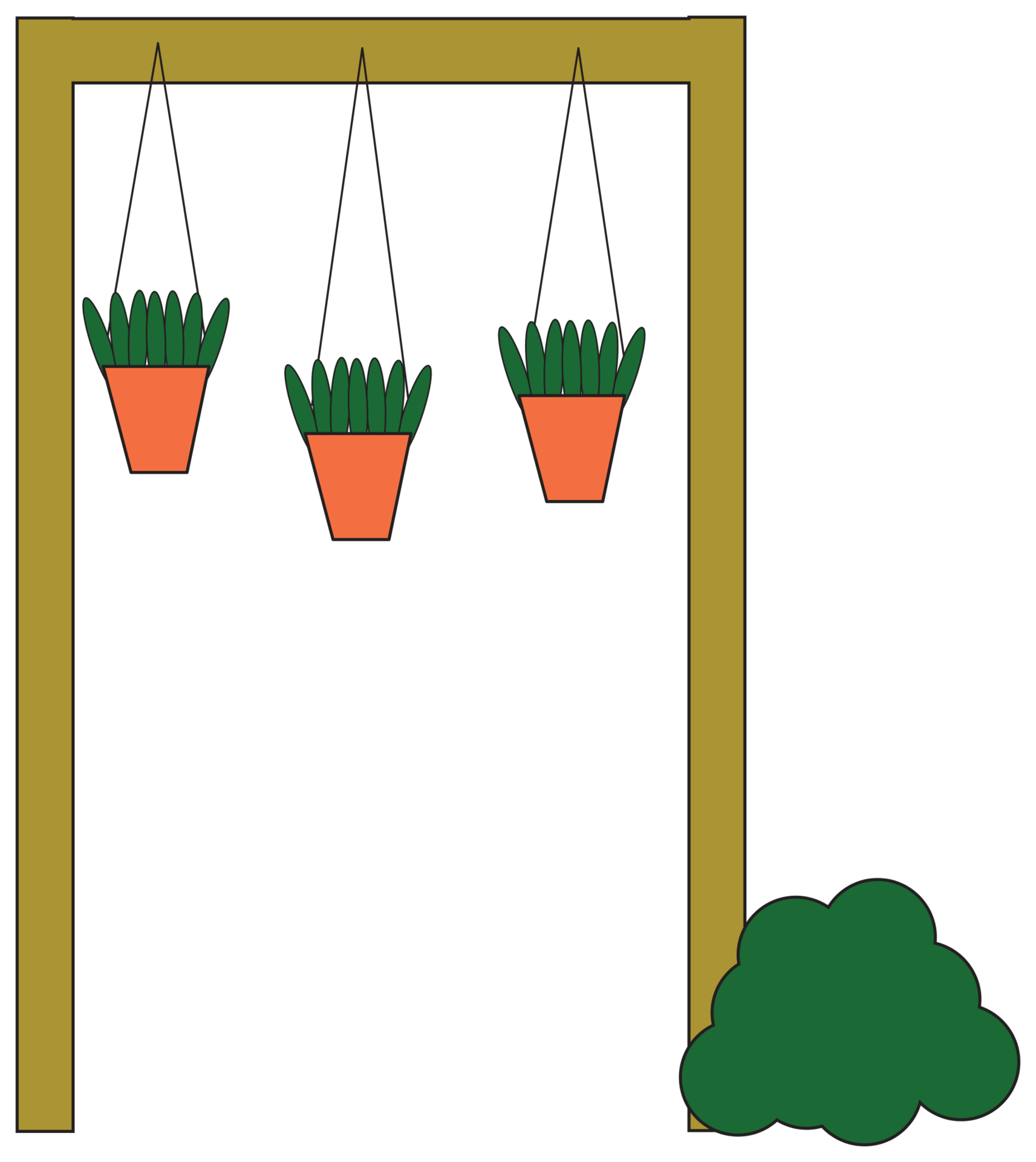 Plant, Liquid, Leaf, Flowerpot