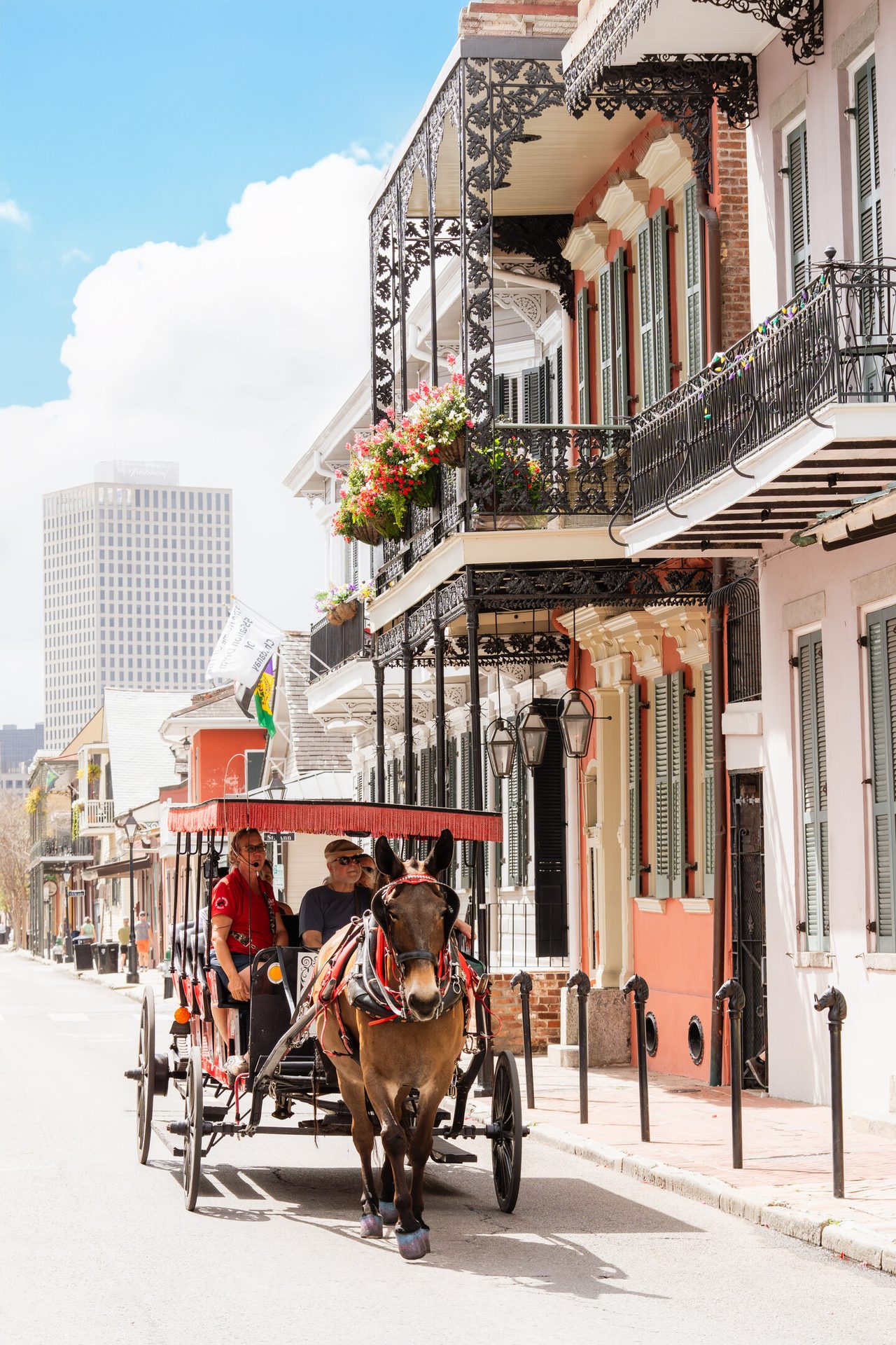 A horse-drawn carriage tours a historic street with colorful buildings and ornate iron balconies.
