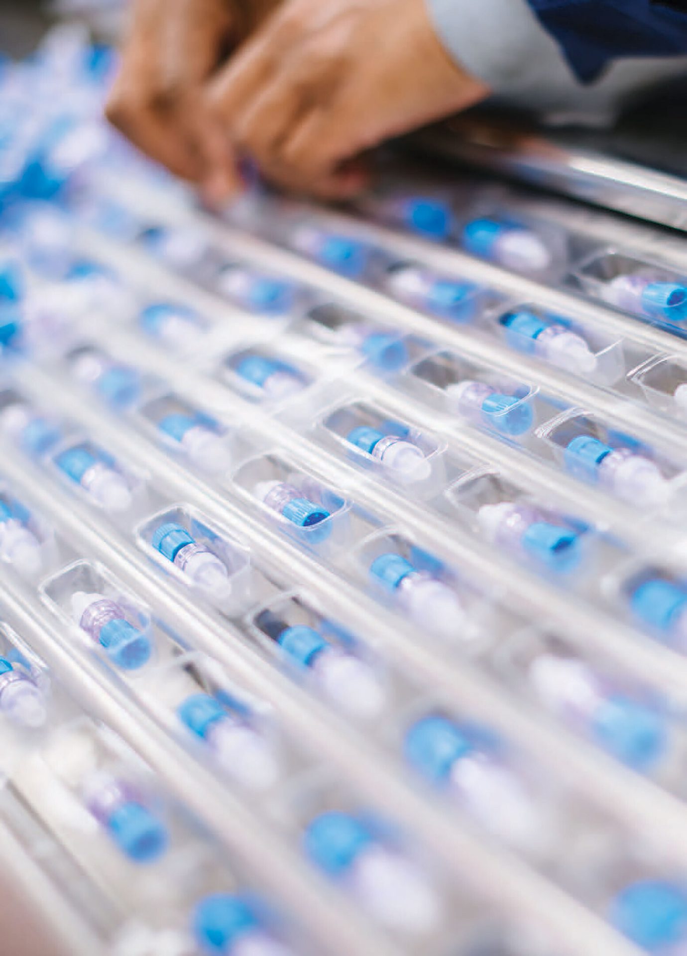 Hands inspecting rows of individually packaged blue and white medical devices.