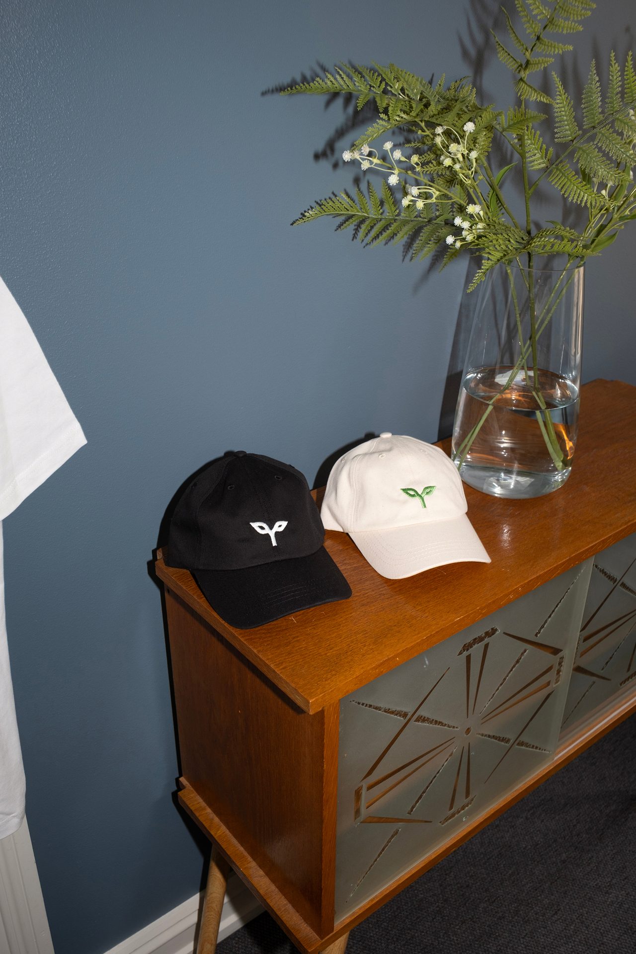 Two caps (black, white) on a wooden cabinet with a vase of ferns, against a blue wall.