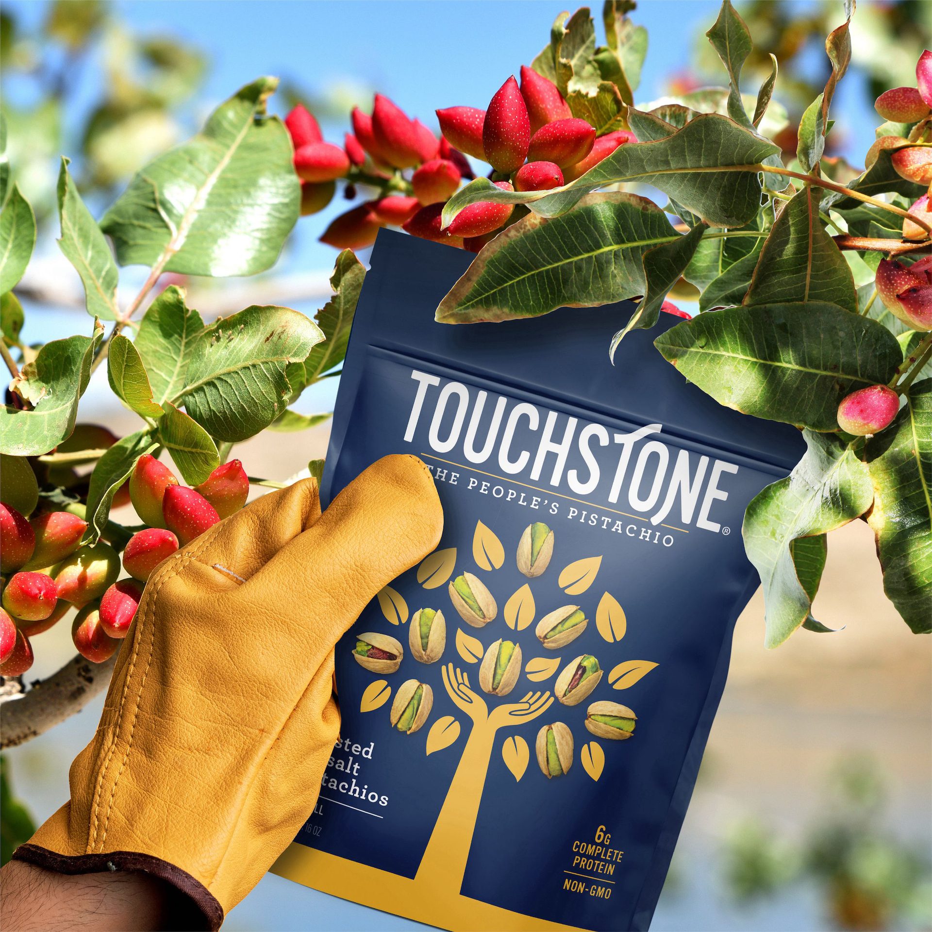 Touchstone Packaging Growing On Tree