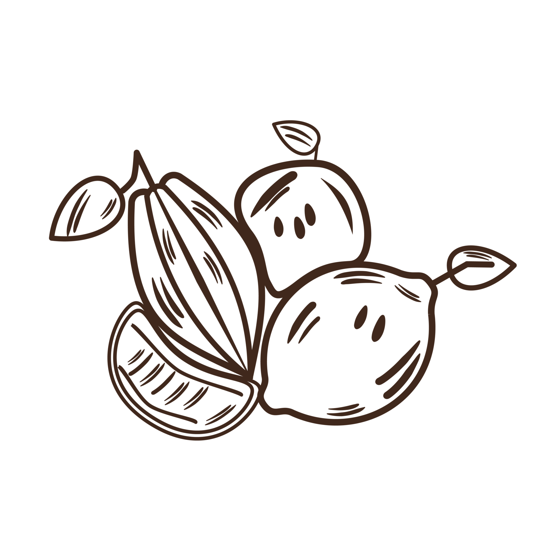 Natural foods, Produce, Fruit