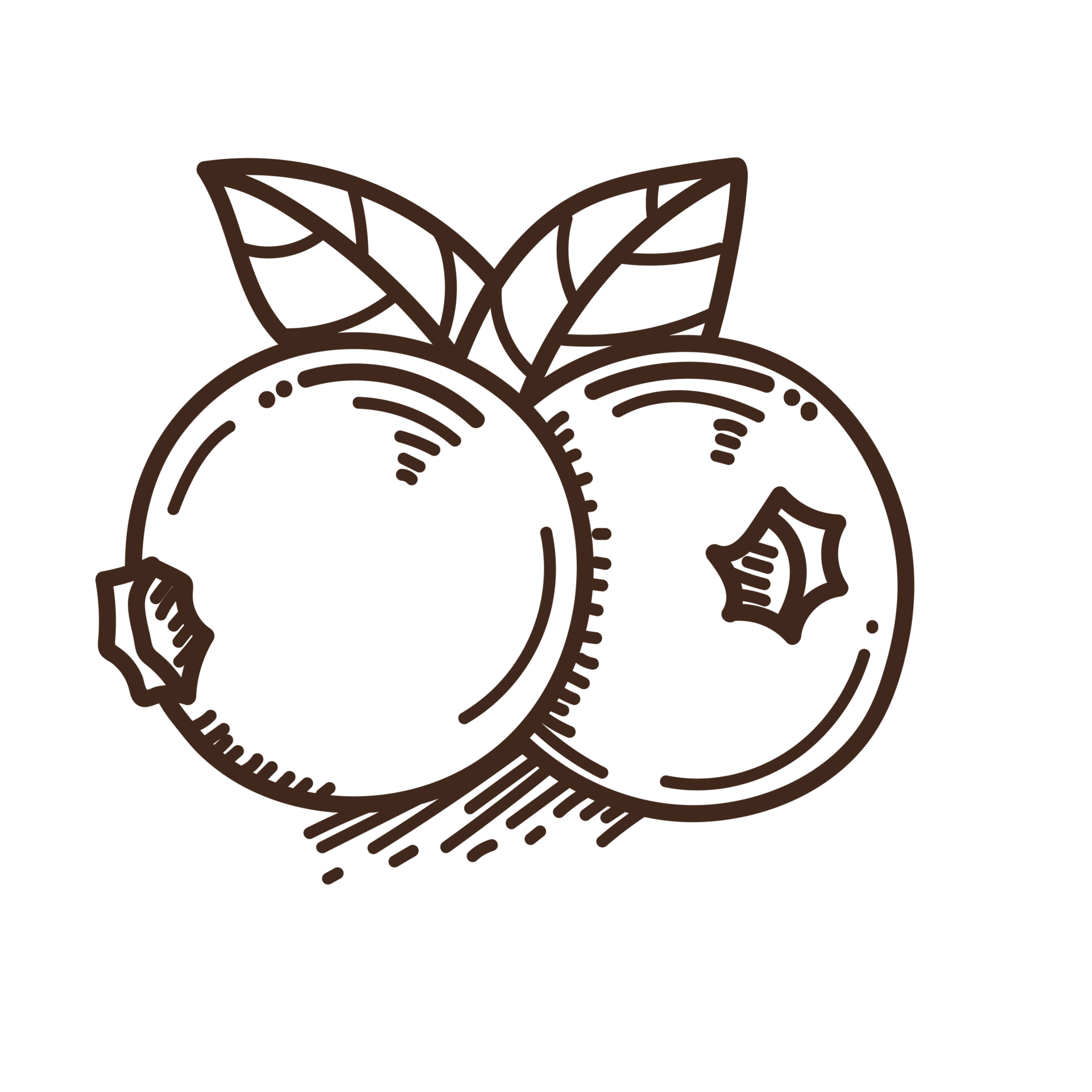 Natural foods, Fruit, Produce