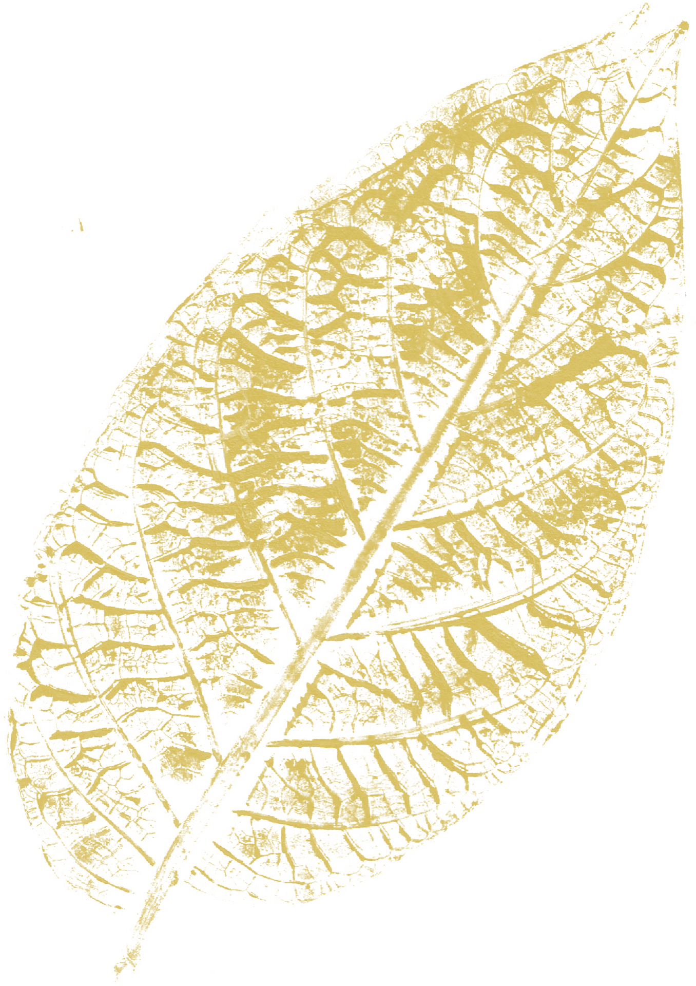 Plant, Tree