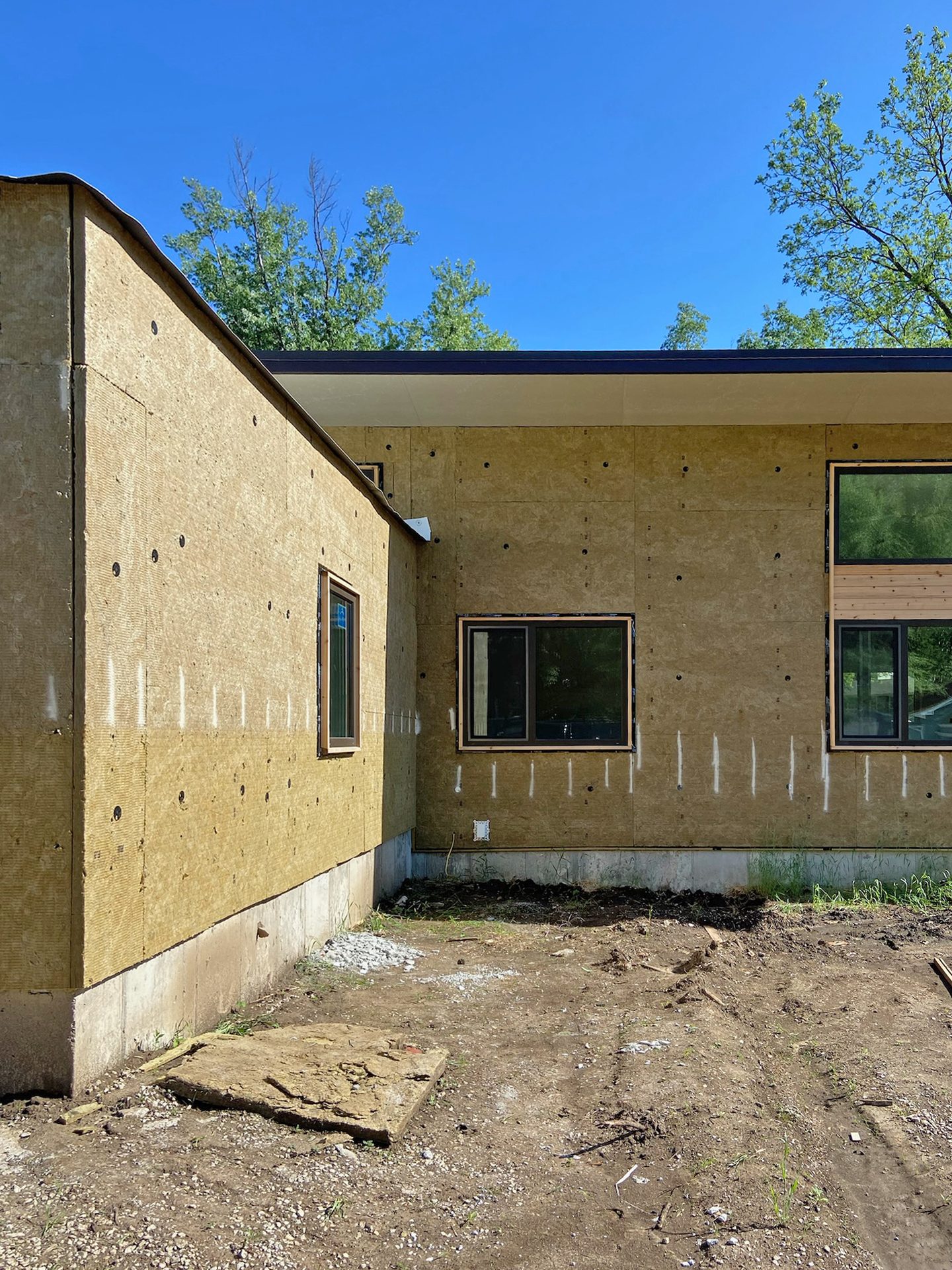 Land lot, Sky, Window, Fixture, Wood, Architecture, Tree