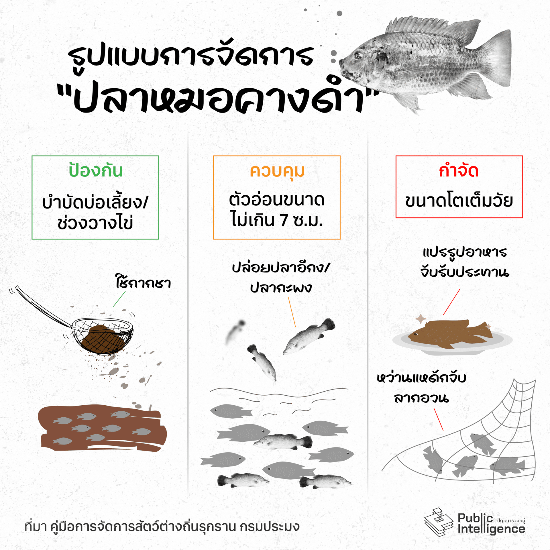 Product, Jaw, Organism, Font
