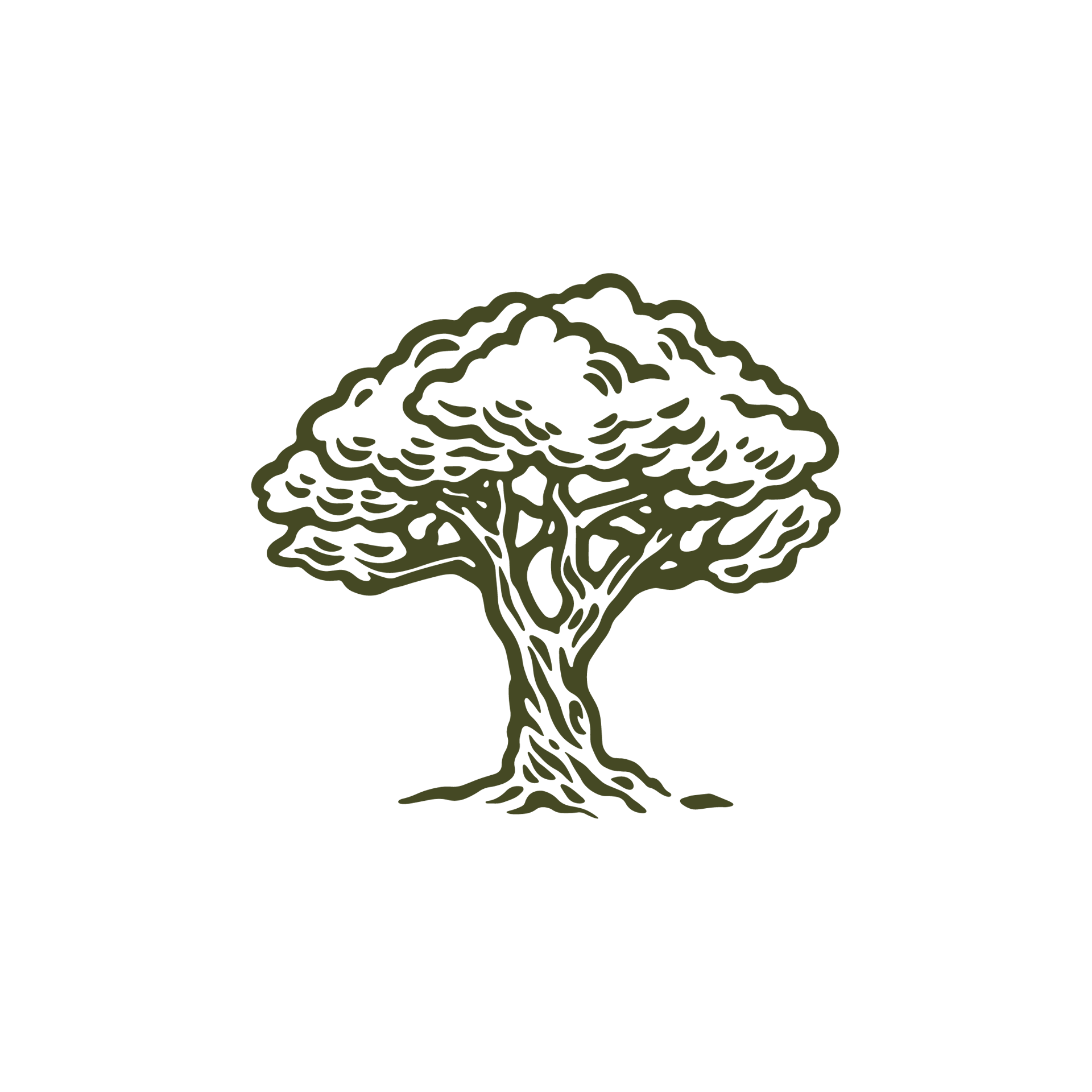 Head, Branch, Gesture, Tree, Art