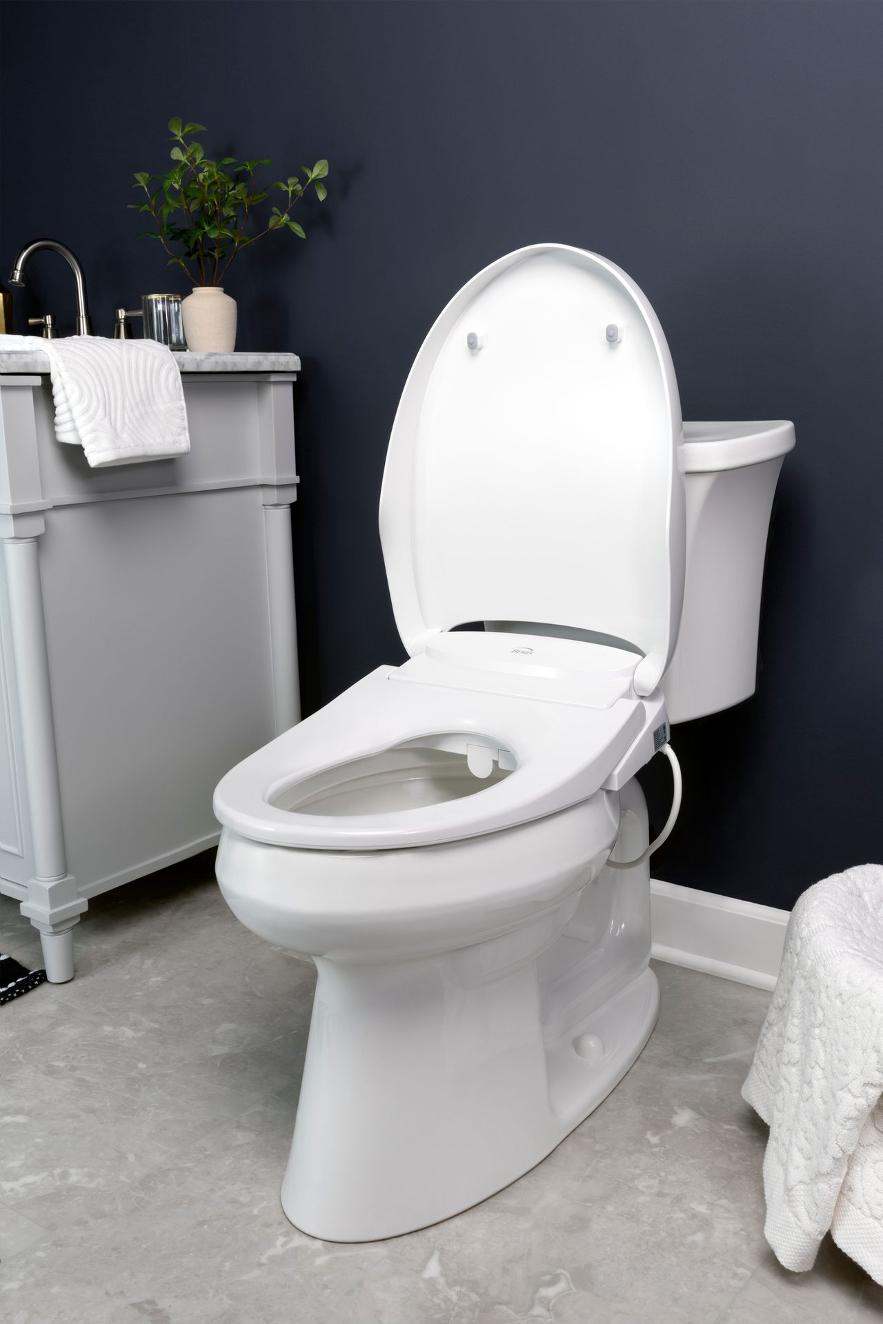 Toilet seat, Plumbing fixture, Flowerpot, Houseplant, Plant, Bathroom, Purple, Floor