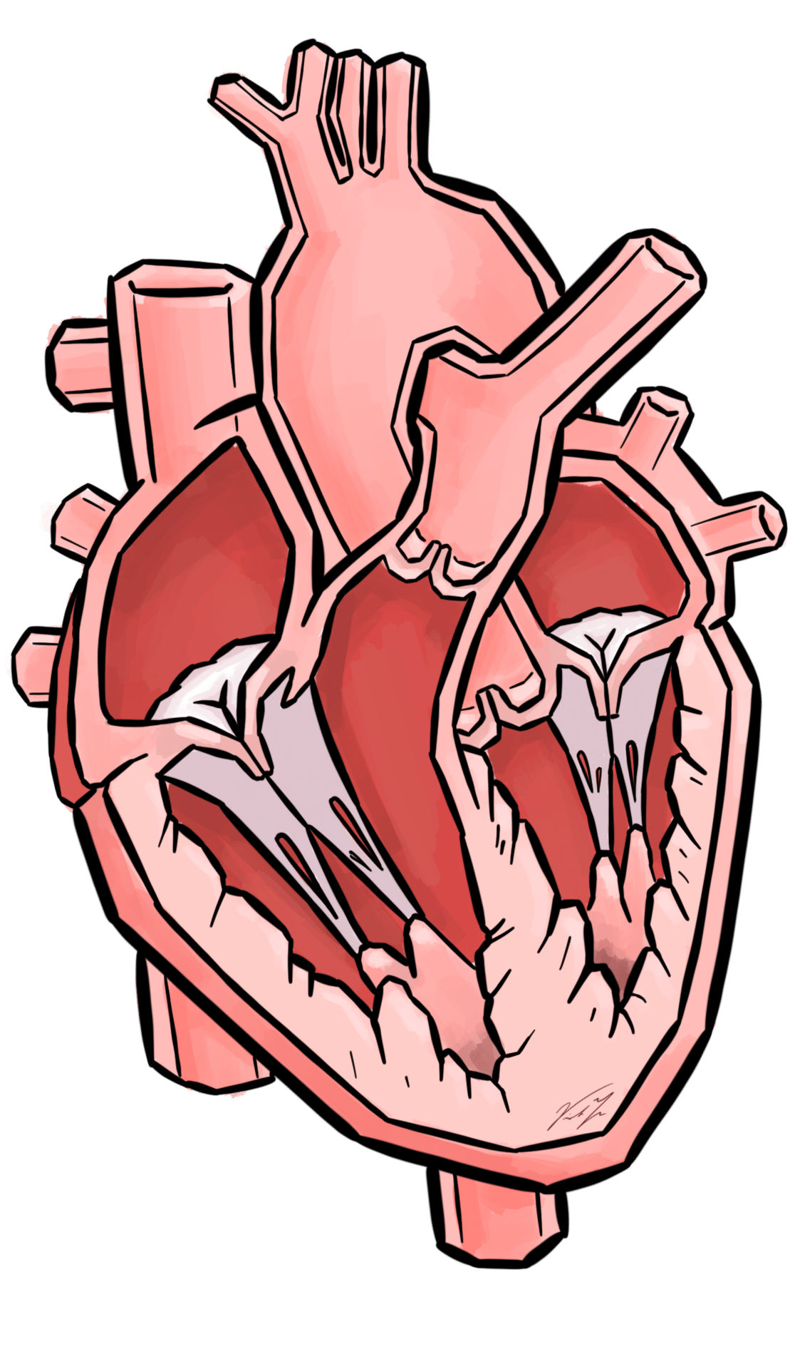 Human body, Hand, Mouth, Organ, Jaw, Organism, Gesture, Finger, Thumb