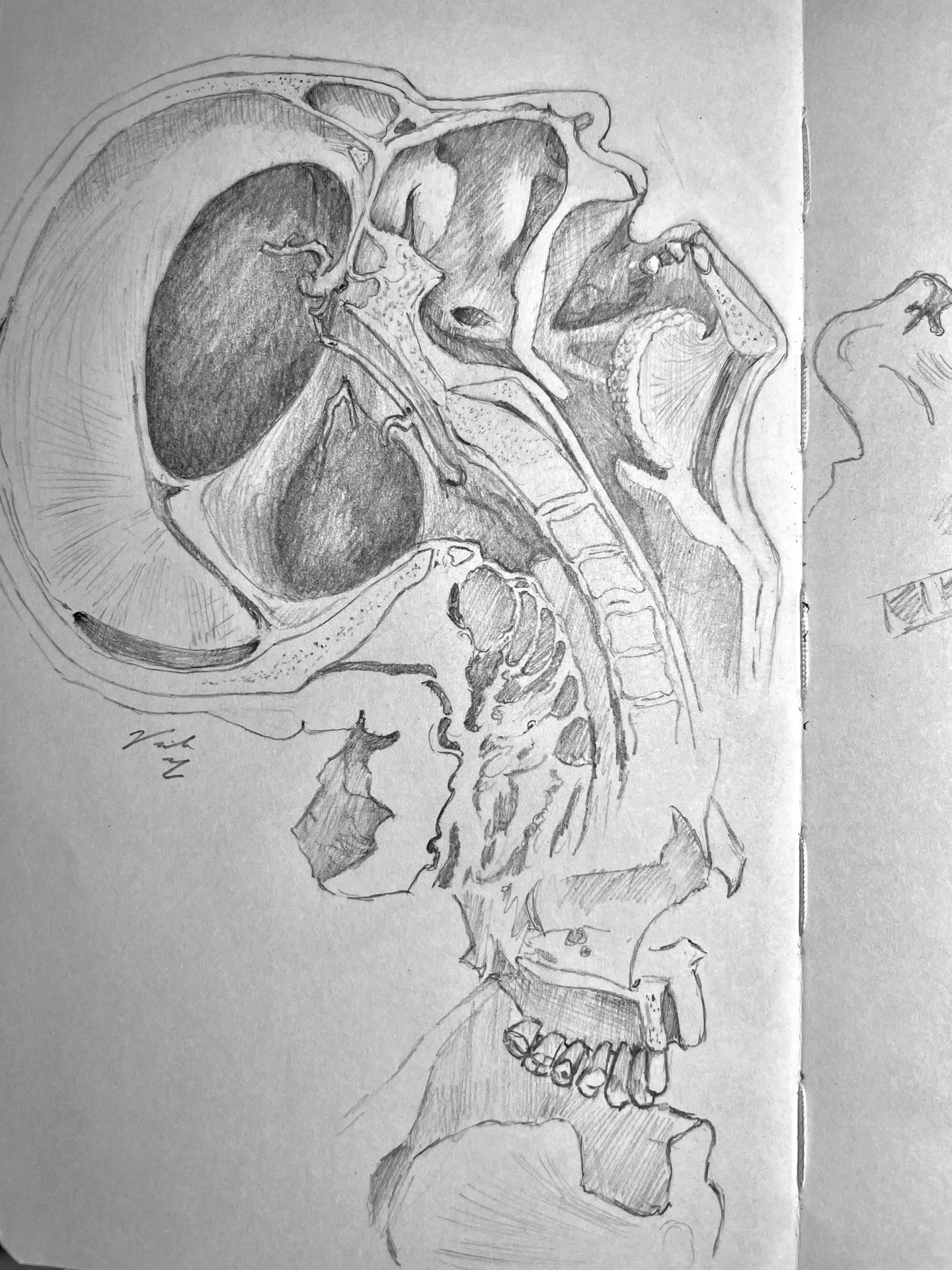 Human body, Jaw, Gesture, Art