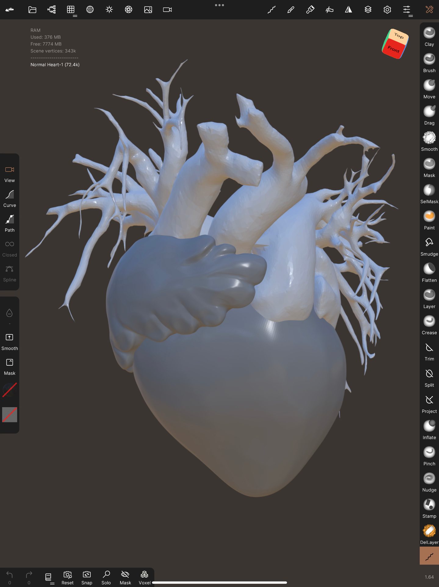 Marine invertebrates, Human body, Organism