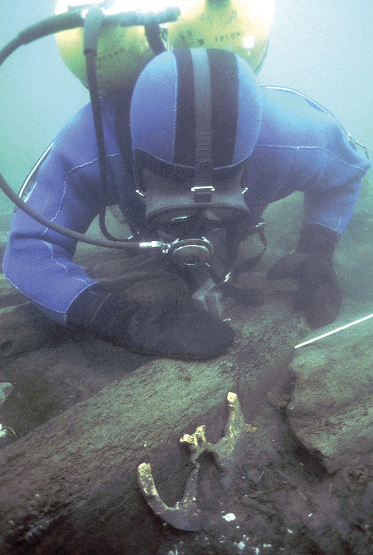 Personal protective equipment, Underwater diving, Buoyancy compensator, Divemaster, Wetsuit, Recreation