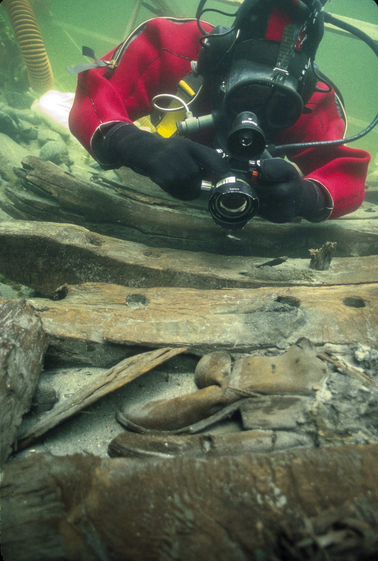 Diving equipment, Organism