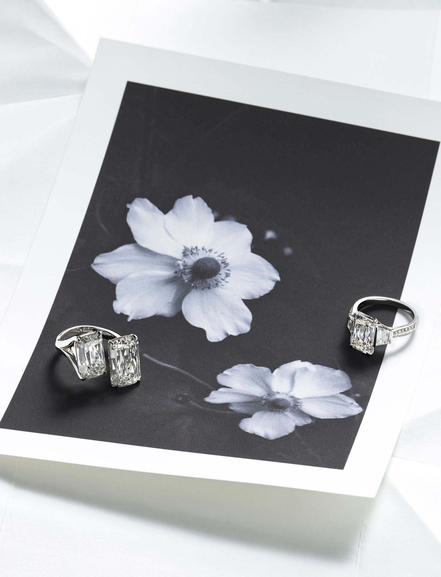 Material property, Flower, Plant, Petal, Rectangle, Art