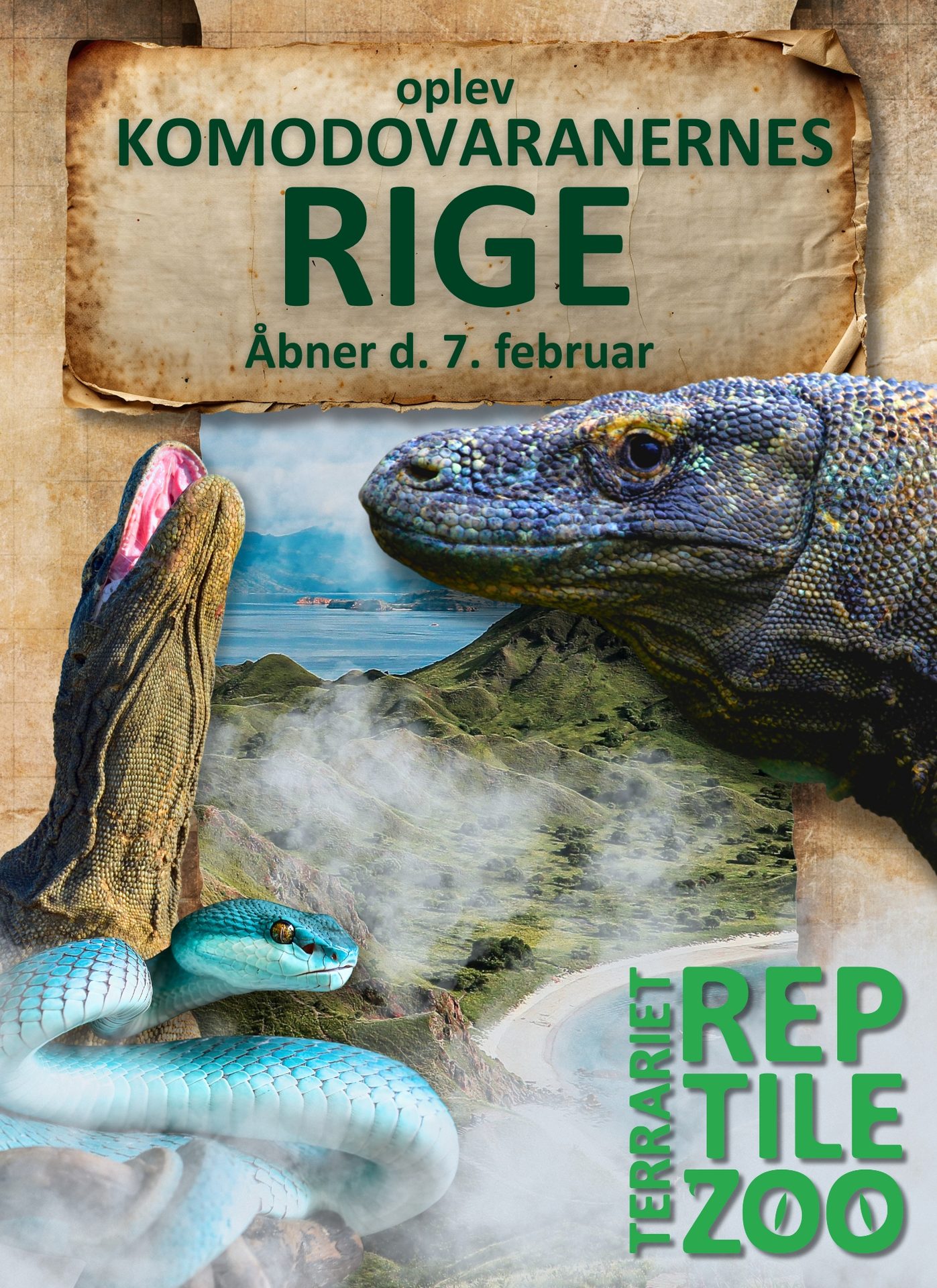 Komodo dragons, a lizard, and a blue snake in a jungle landscape for Terrariet Reptile Zoo exhibit.