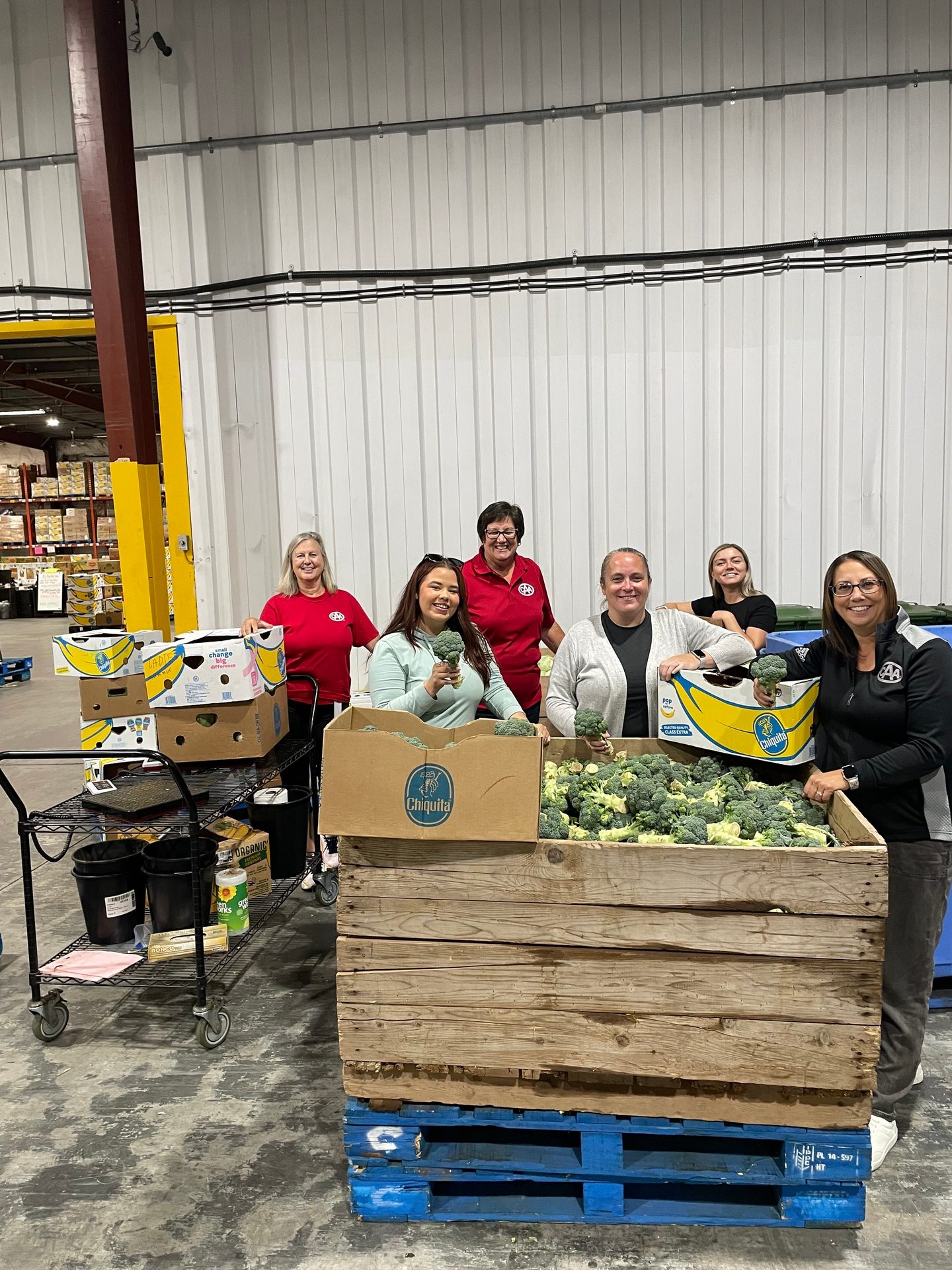 Six women smiling and handling broccoli from a large wooden bin in a warehouse.