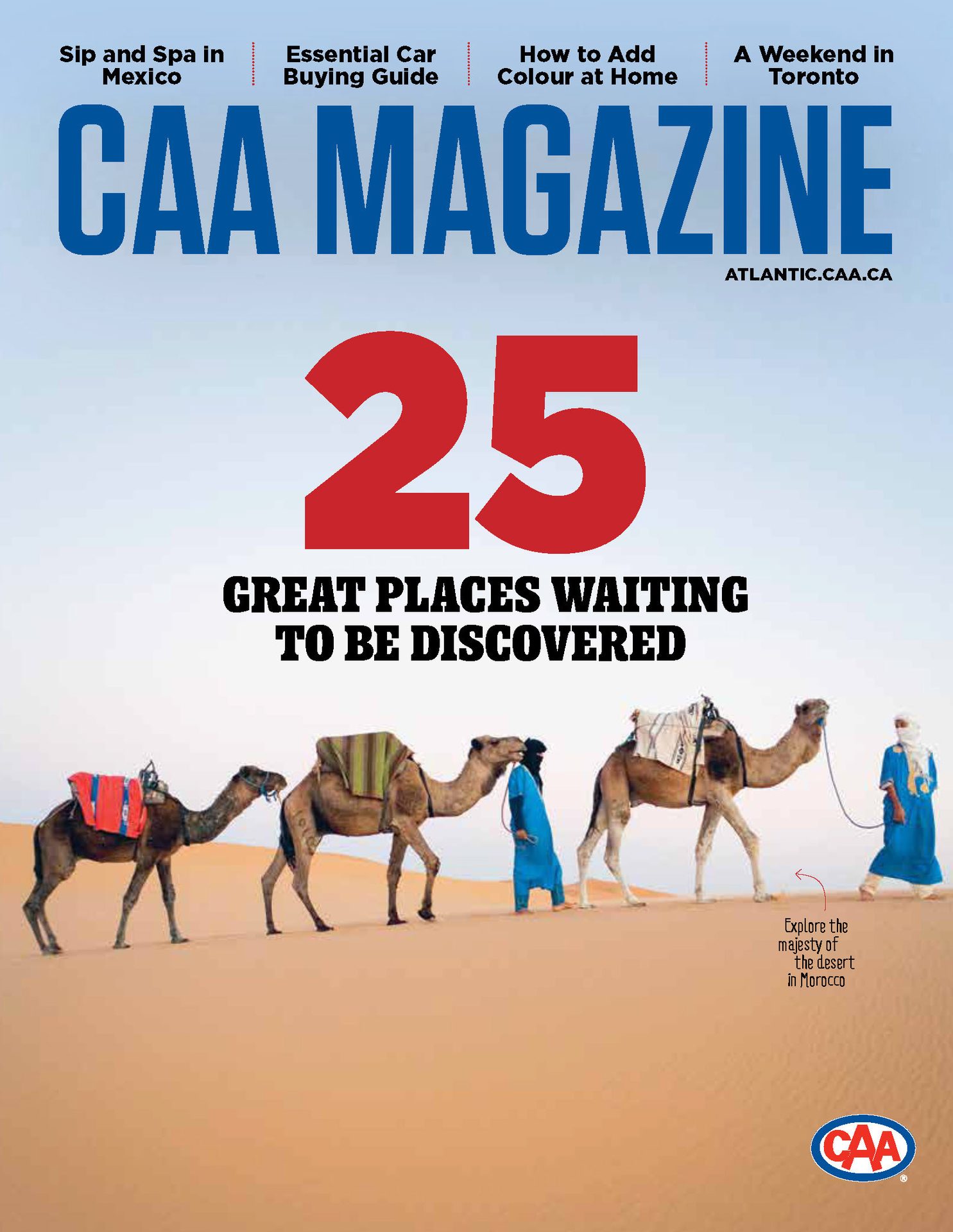 Working animal, Ecoregion, Camel