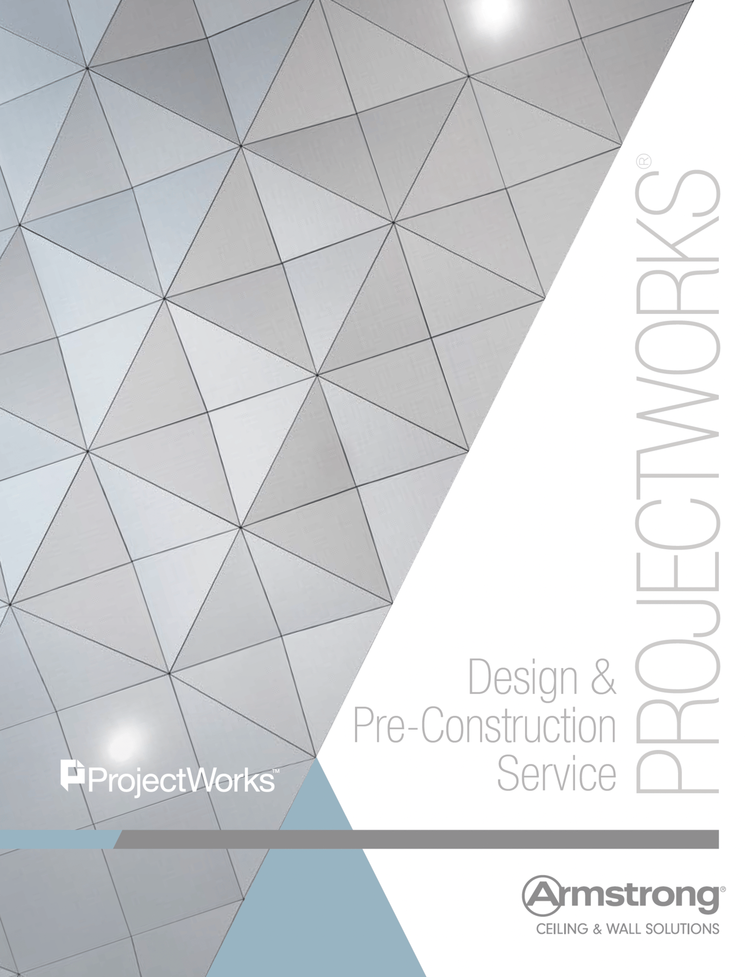 Screenshot of ProjectWorks brochure