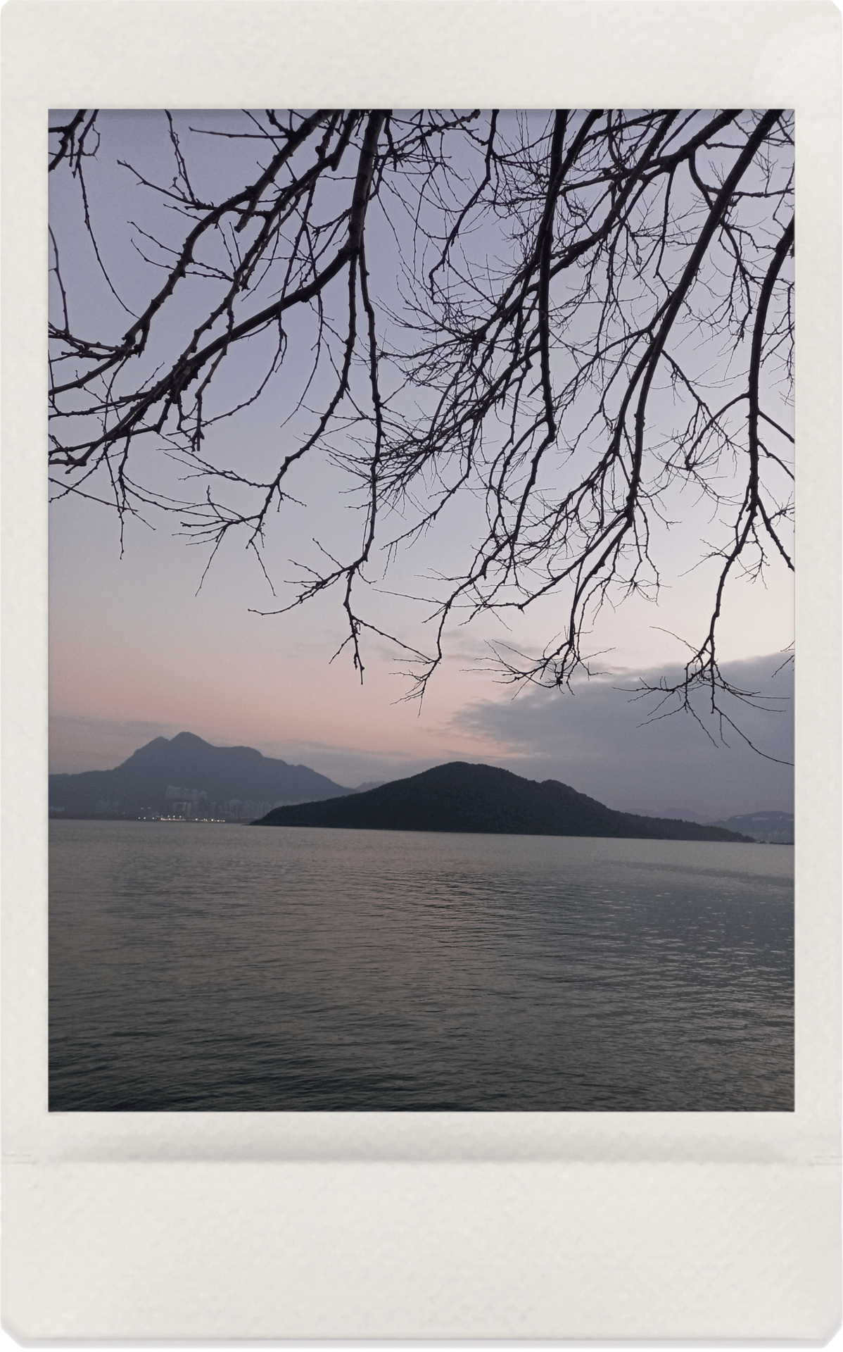 Natural landscape, Water, Sky, Nature, Branch, Cloud, Lake, Mountain, Rectangle