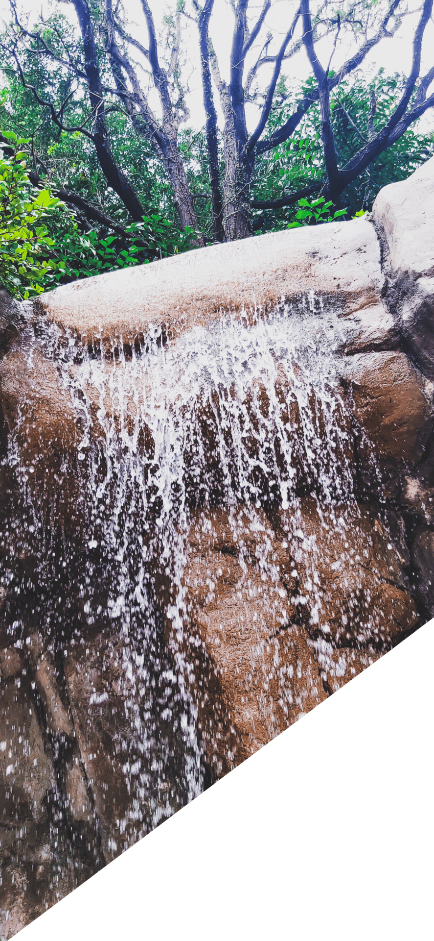 Fluvial landforms of streams, Water resources, Natural landscape, Tree, Wood, Waterfall, Watercourse, Trunk, Grass