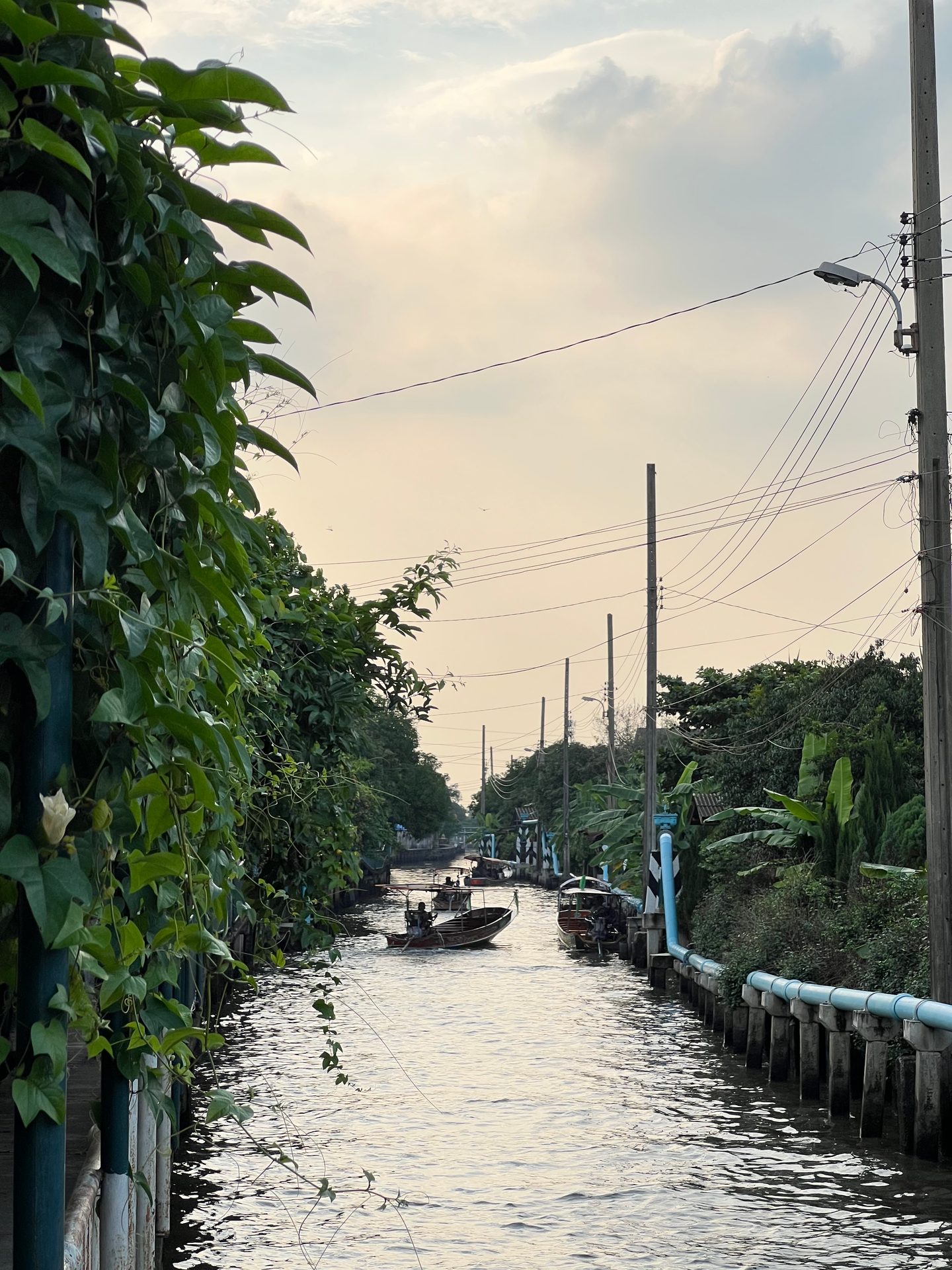 Body of water, Road surface, Sky, Cloud, Plant, Tree, Watercourse, Neighbourhood, Morning