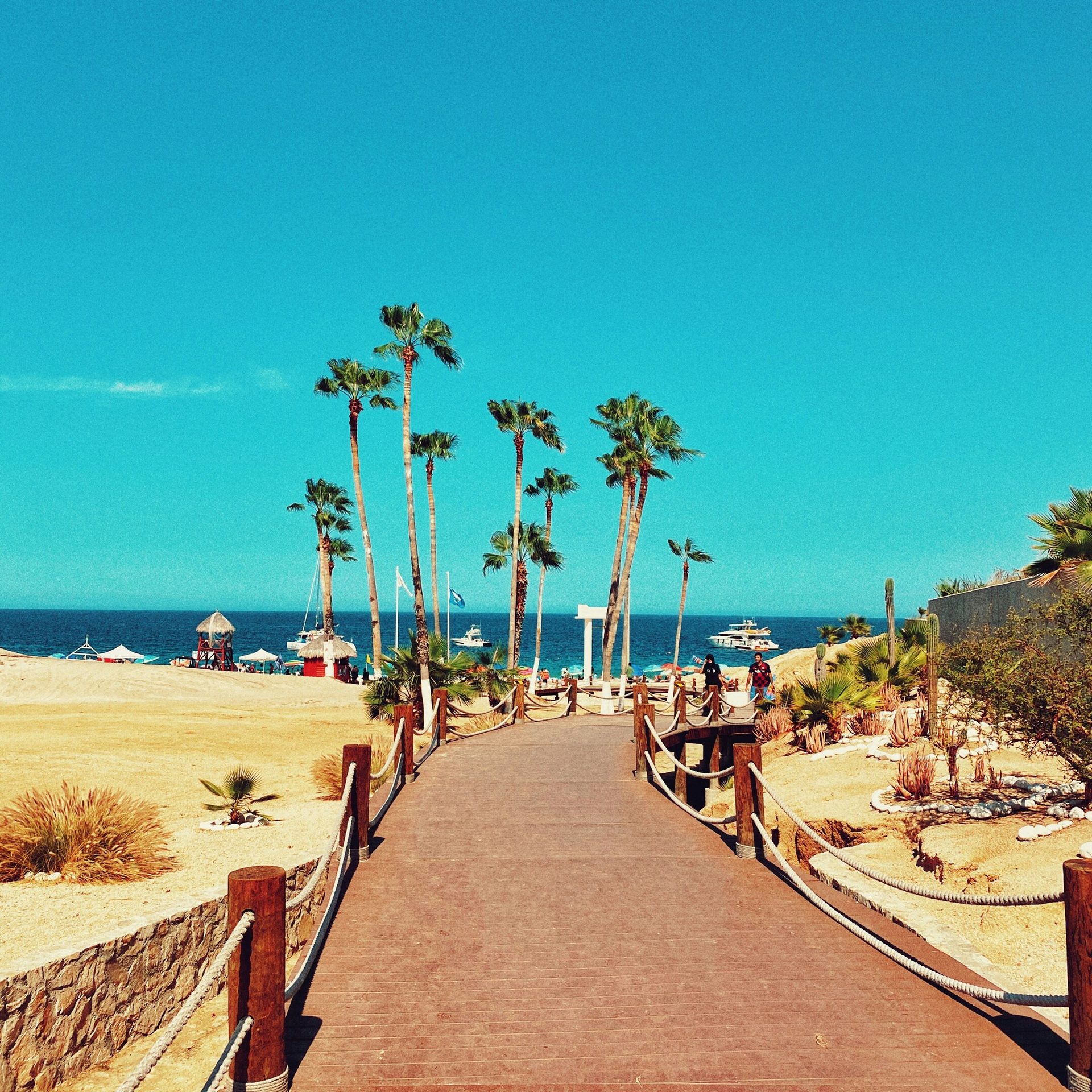 Coastal and oceanic landforms, People on beach, Street light, Sky, Water, Plant, Tree, Arecales, Travel
