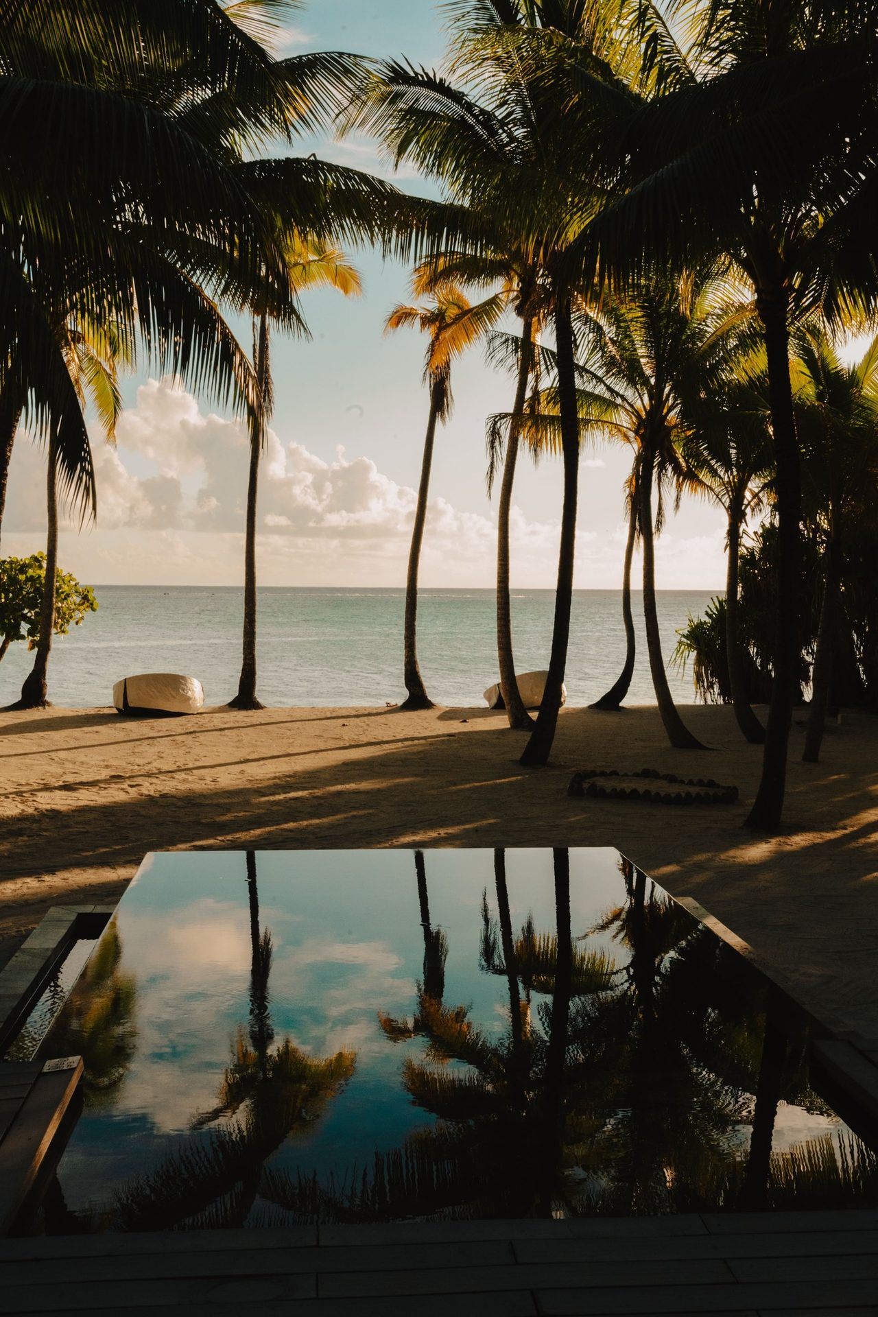 Coastal and oceanic landforms, Water, Sky, Cloud, Property, Azure, Plant, Arecales, Tree, Sunset