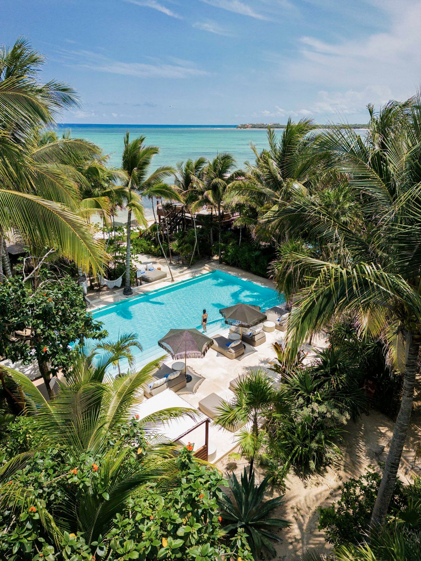 Swimming pool, Water, Plant, Sky, Cloud, Tree, Azure, Arecales, Building, Vegetation